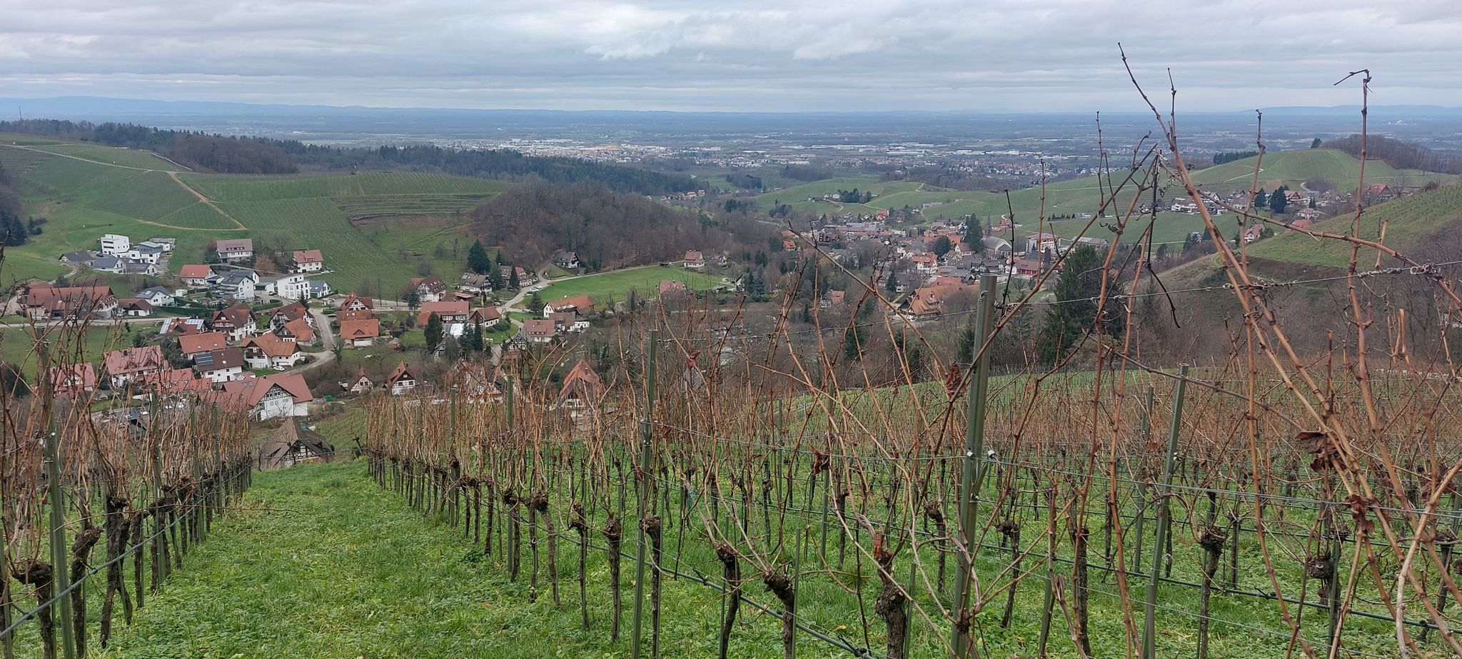 Sasbachwalden