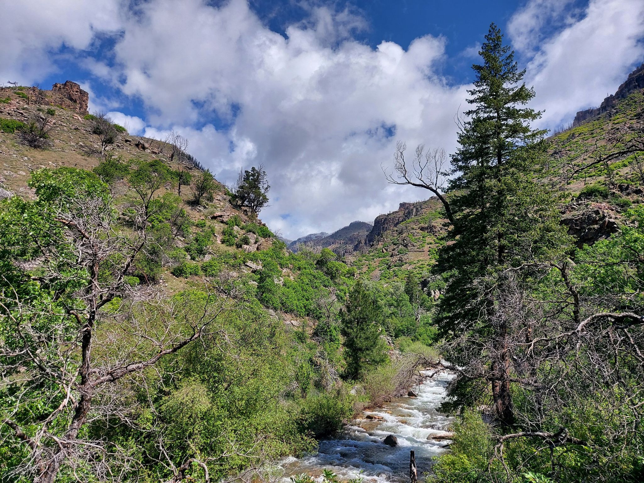 River flowing through a green canyon under a partly cloudy sky. - Grizzly Creek Trail