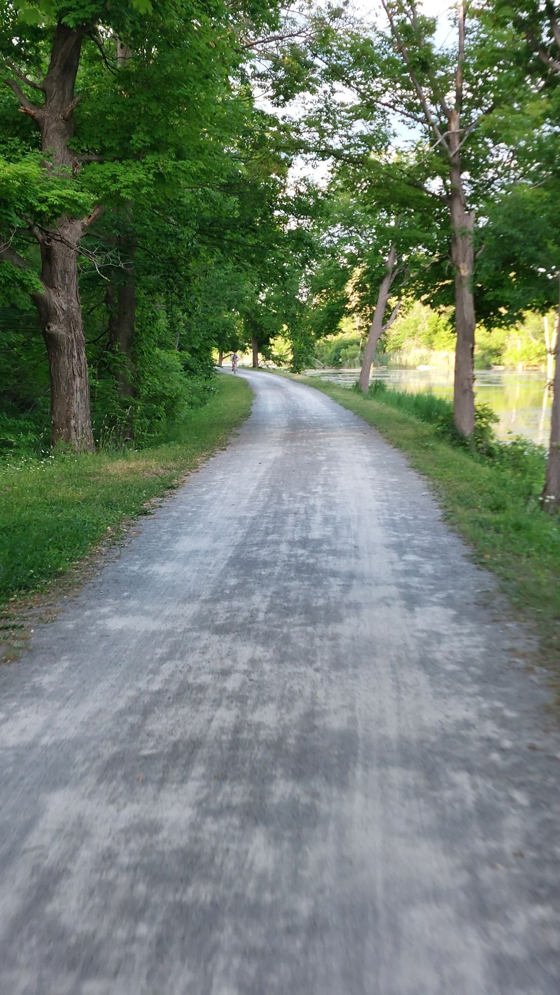Gravel path winding through a tunnel of green trees, bright light ahead. - Erie Canalway Trail loop from Green Lakes State Park
