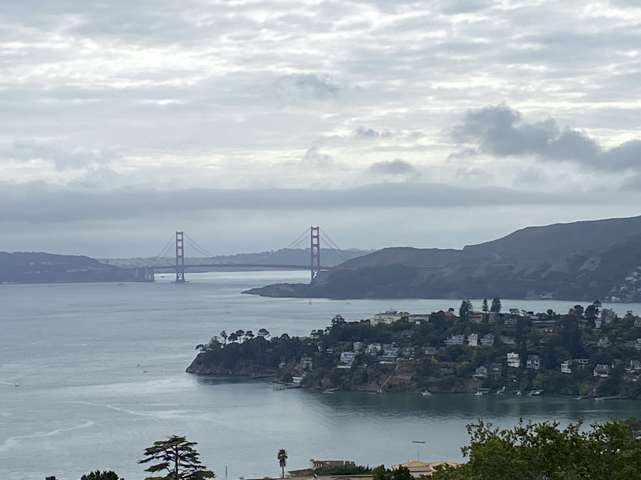 Overcast view of a distant bridge over water, with houses on a peninsula. - Picnic Rock – Old St Hilary Church ⛪ loop from Tiburon
