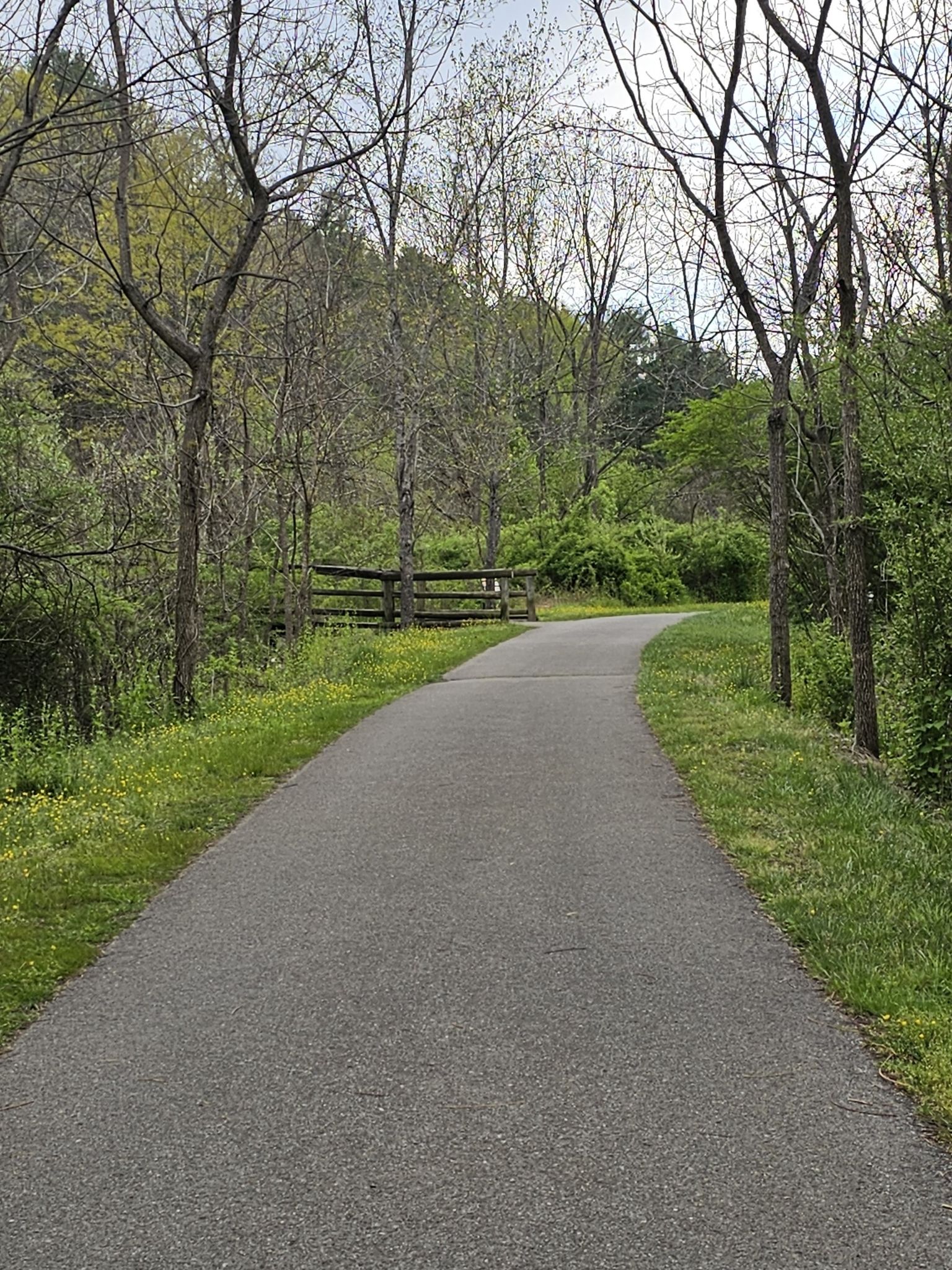Paved path curving through a vibrant green forest, with a wooden fence. - Train Bridge – Coal Mining Heritage Park loop from Merrimac