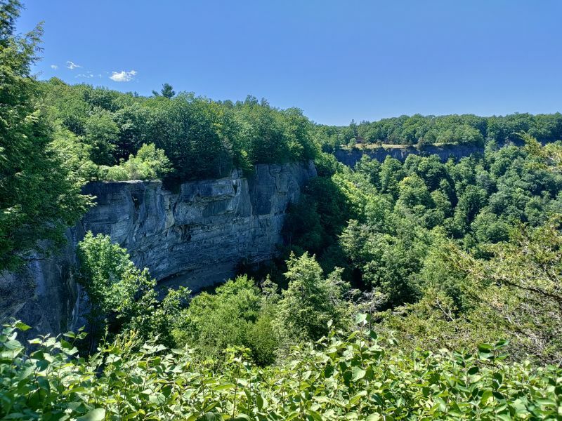 Sunny view of a deep, forested gorge with prominent rocky cliffs. - Thacher Park Grand Tour