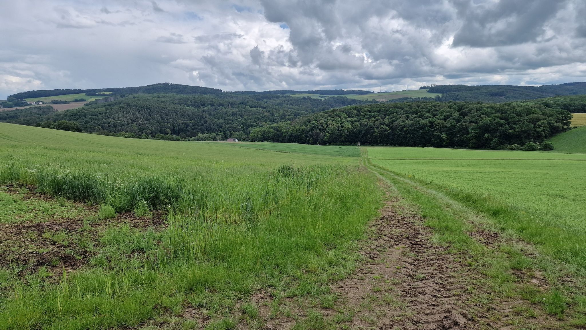jetzt hinunter ins Hasenbachtal