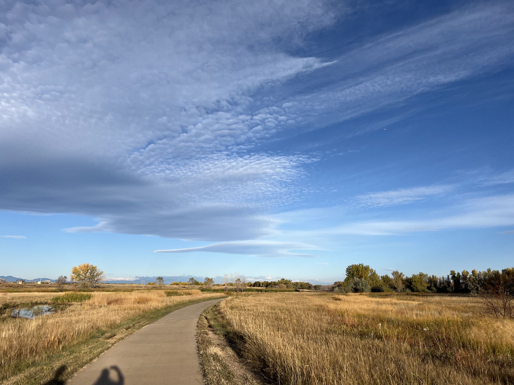 Paved path through golden fields under a dramatic cloudy blue sky. - Cherry Creek, Pope, and Butterfly Hill Trail Loop