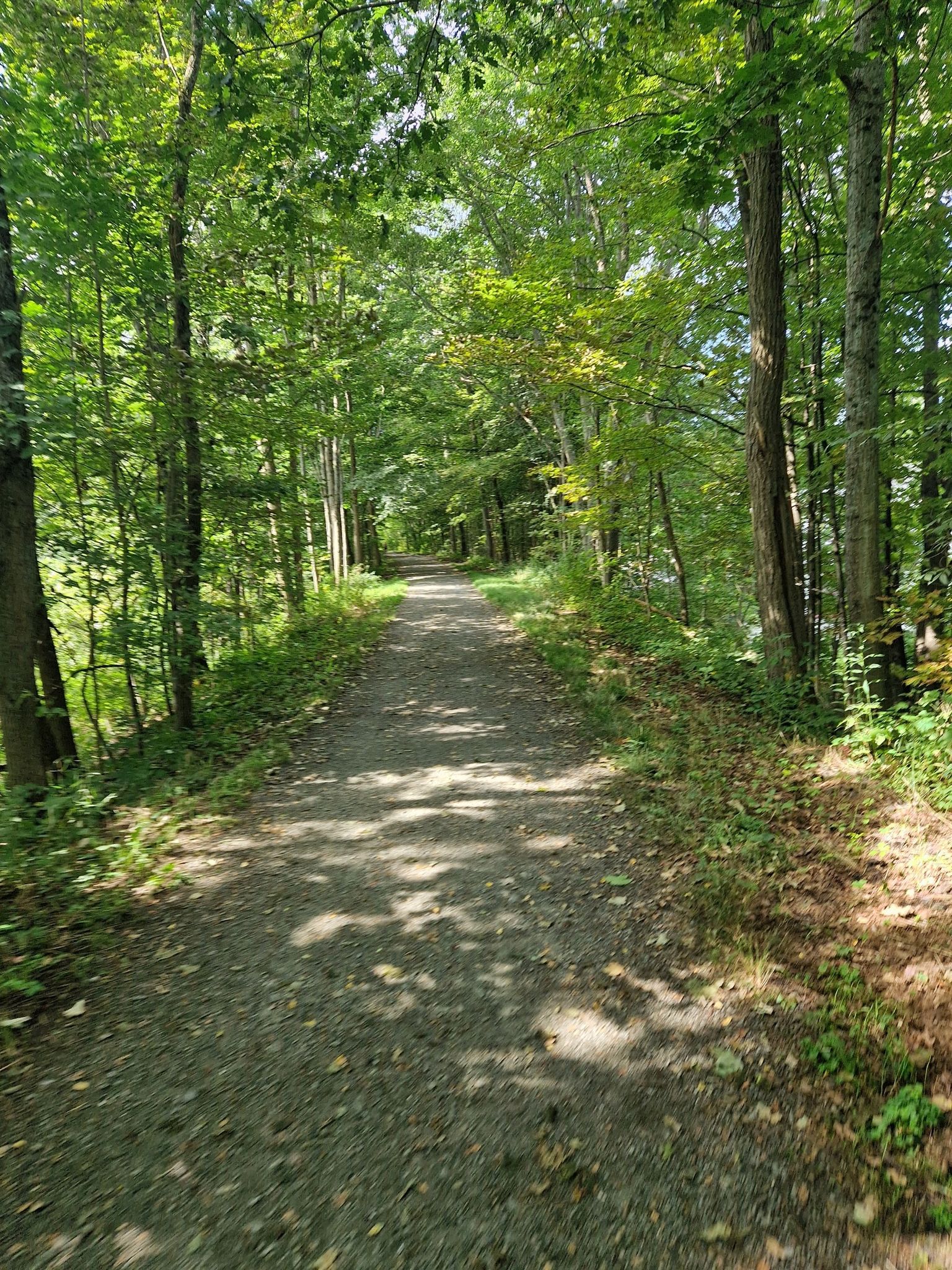 Sunlit gravel path winding through a dense green forest on a bright day. - Mascoma Lake running loop from Enfield