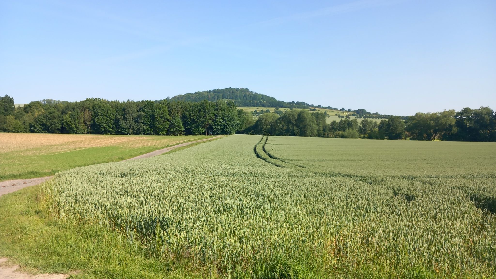 Der Spitzberg in Oderwitz.