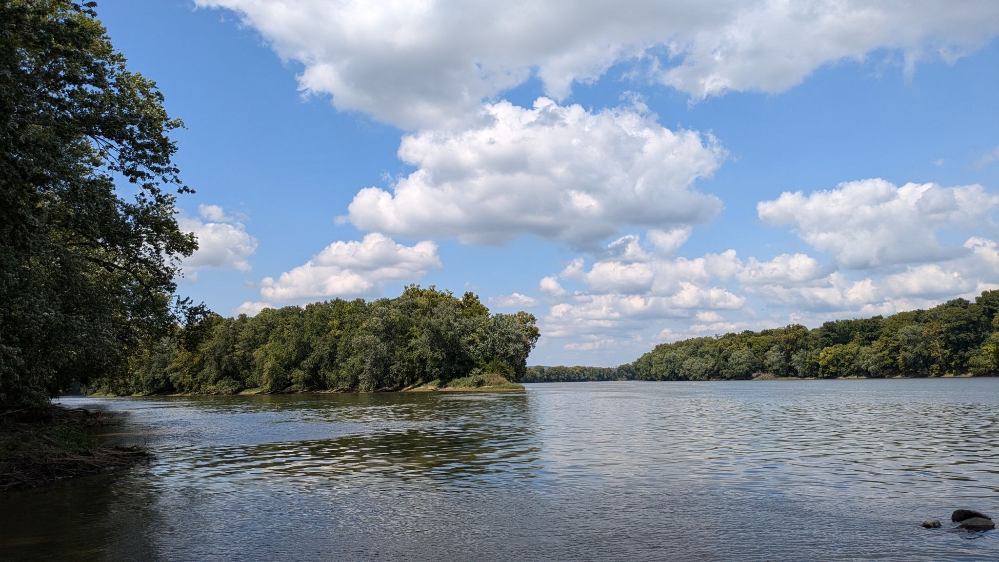 Wide river with forested banks under a bright blue sky with white clouds. - Red Rock Overlook Trail