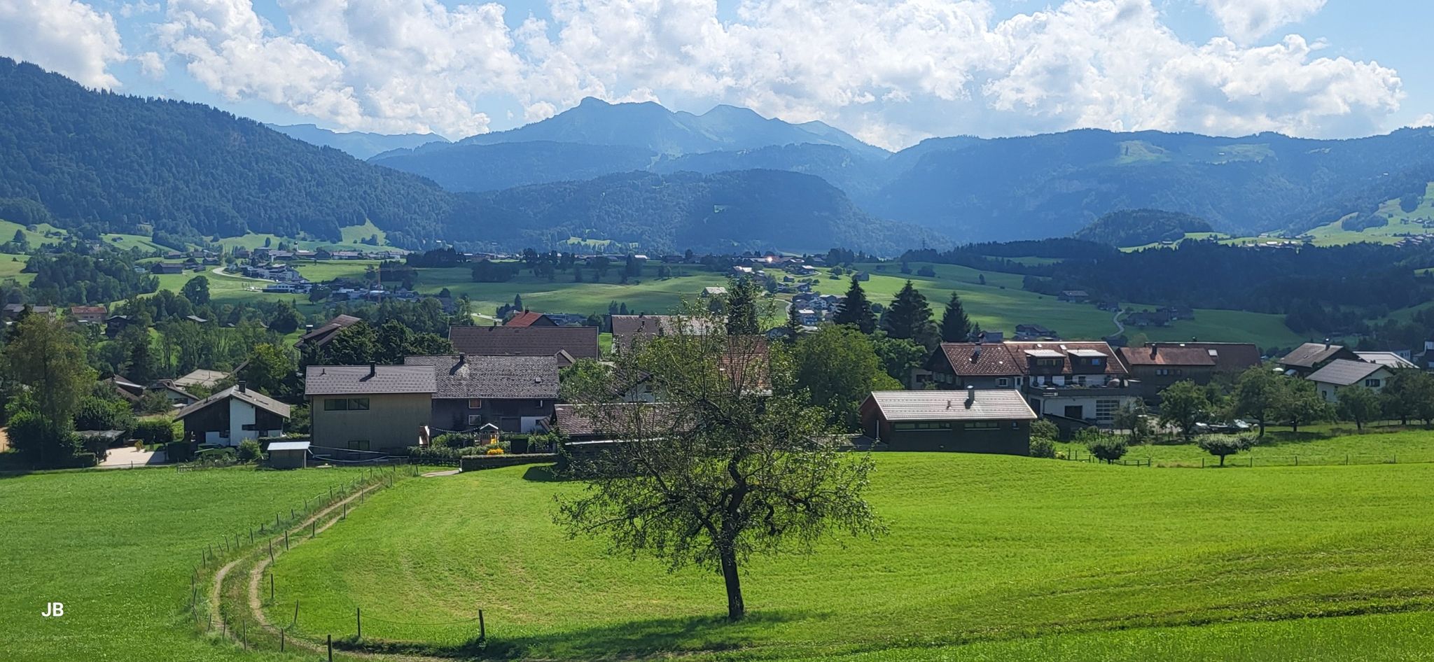 Blick zum Winterstaudenkamm
