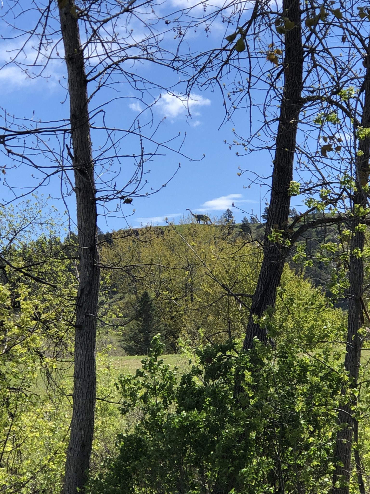 Dinosaur statues on a distant hilltop, framed by trees under a bright sky. - Leonard “Swanny” Swanson Memorial Pathway