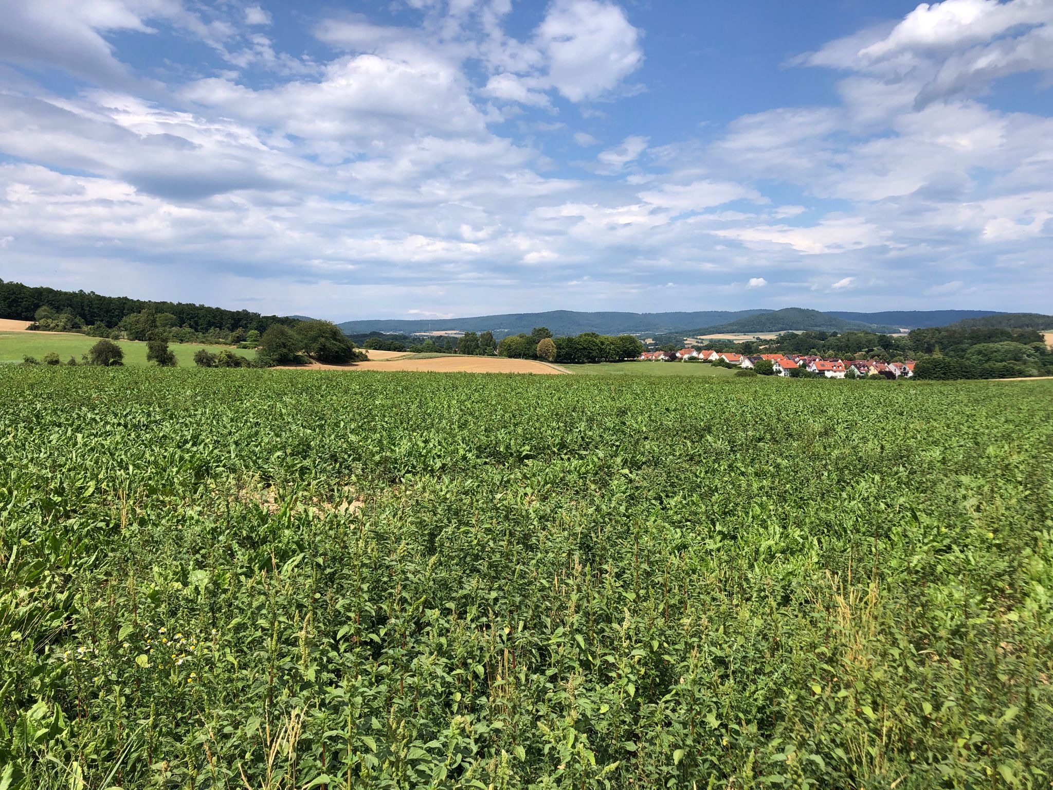 Blick über Hösbach