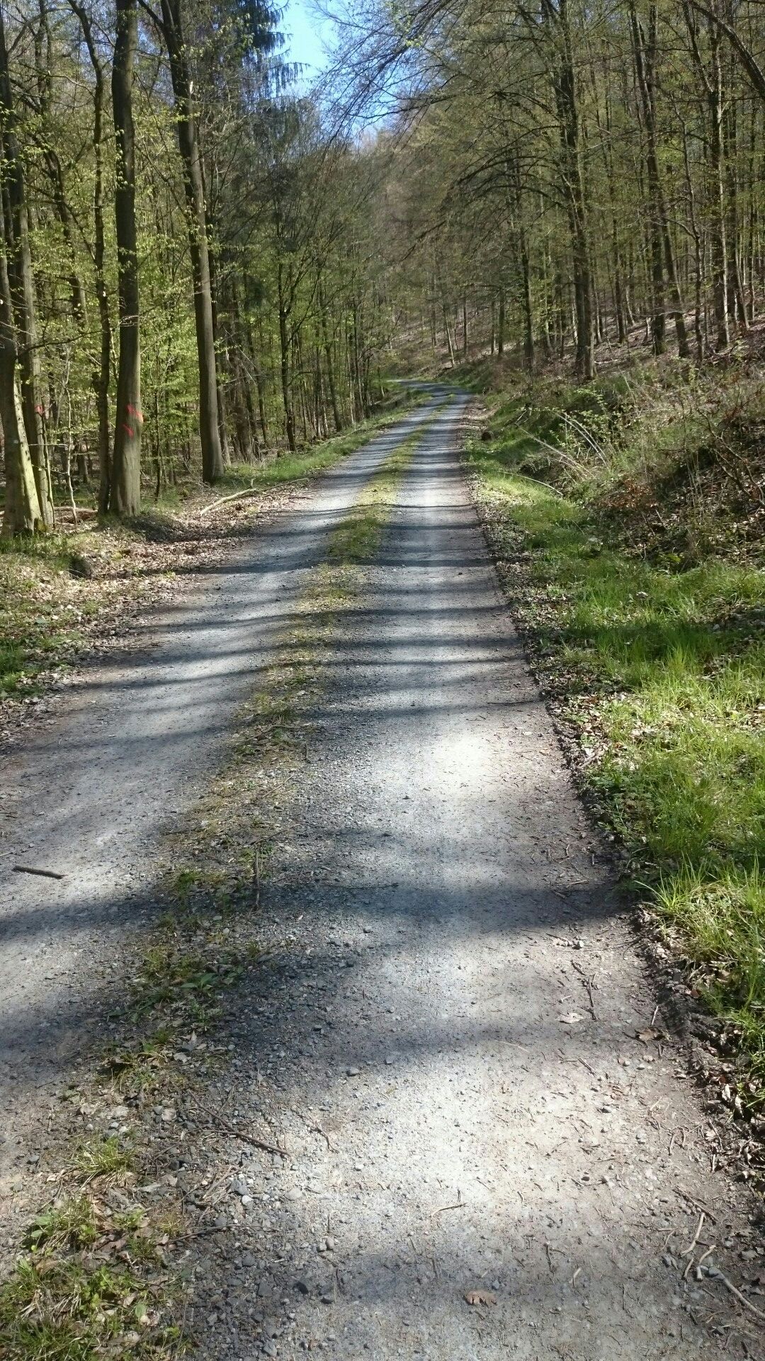 Knackiger Anstieg bei Fingers Wiese