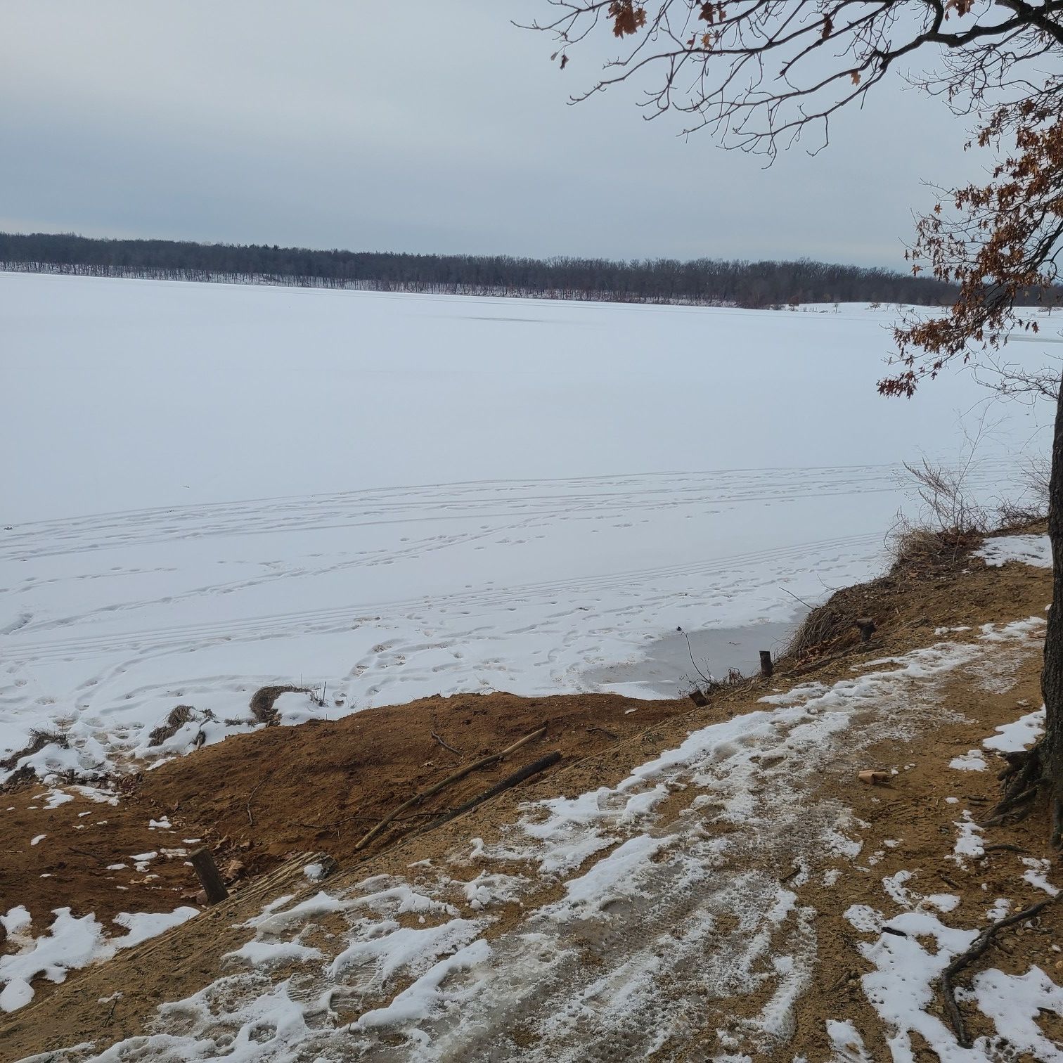 Frozen lake covered in snow, viewed from a sandy, snowy bank. - Fort Custer Green and Red Trail Loop