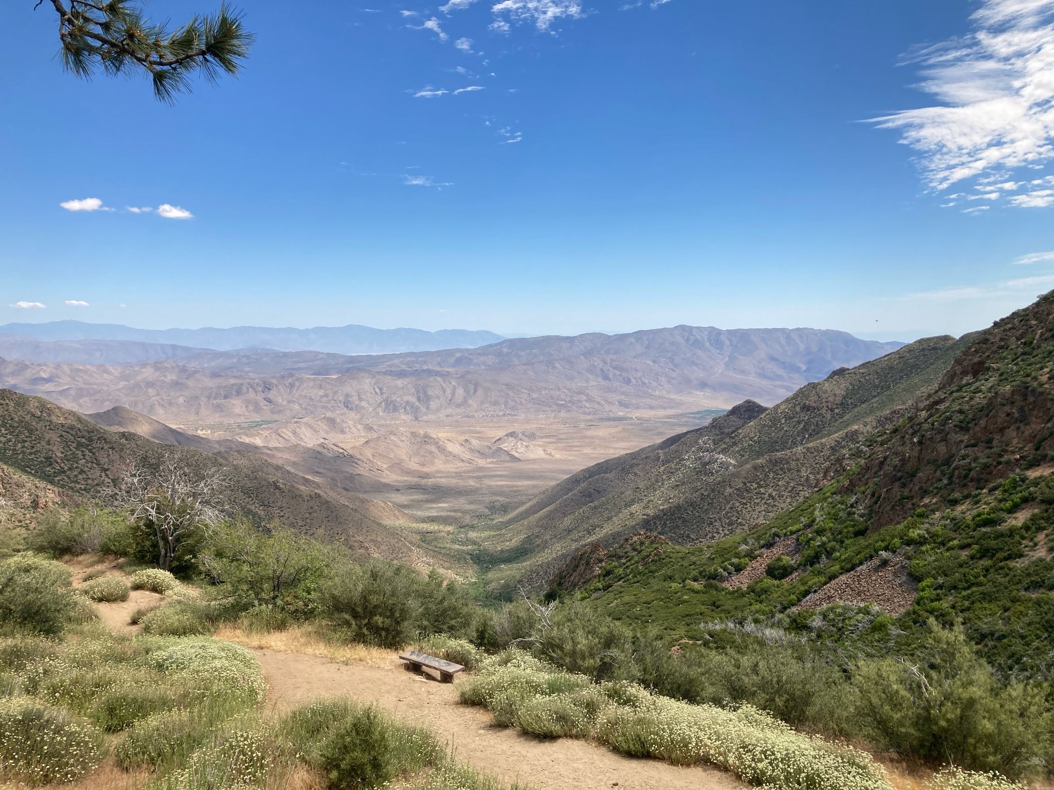 Distant wooden bench overlooking a wide, green mountain valley under a clear sky. - Desert View Picnic Area – Storm Canyon Overlook loop from Mount Laguna
