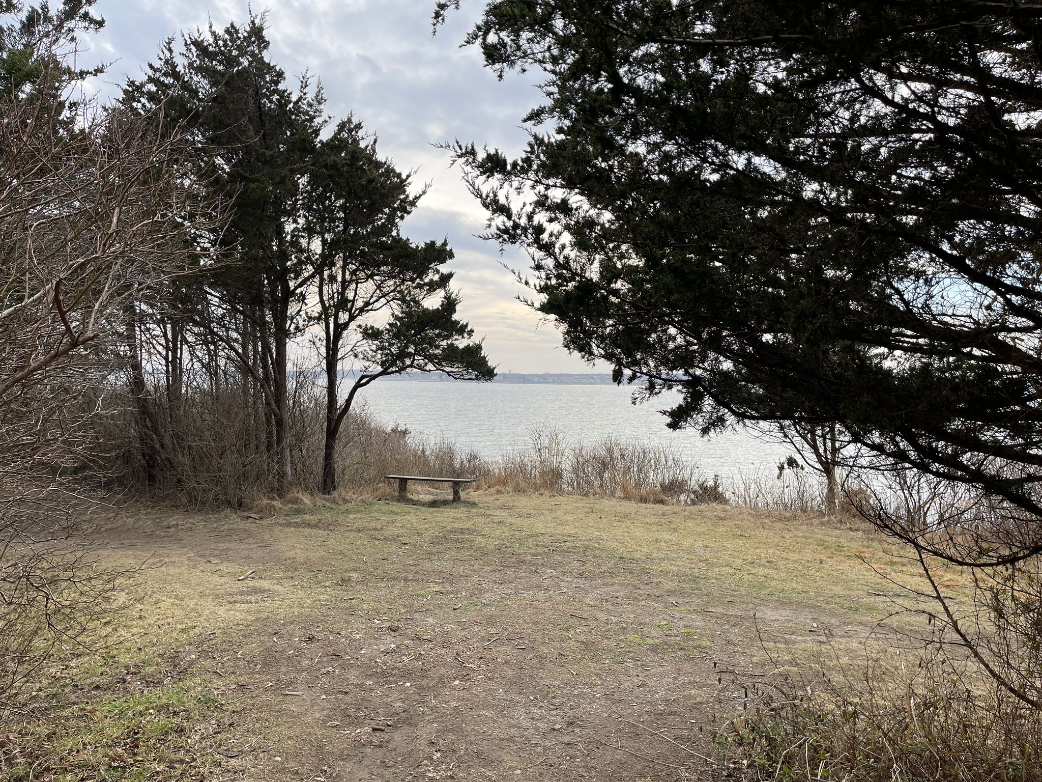 Wooden bench overlooking calm water, surrounded by trees under a cloudy sky. - Beavertail Lighthouse Loop