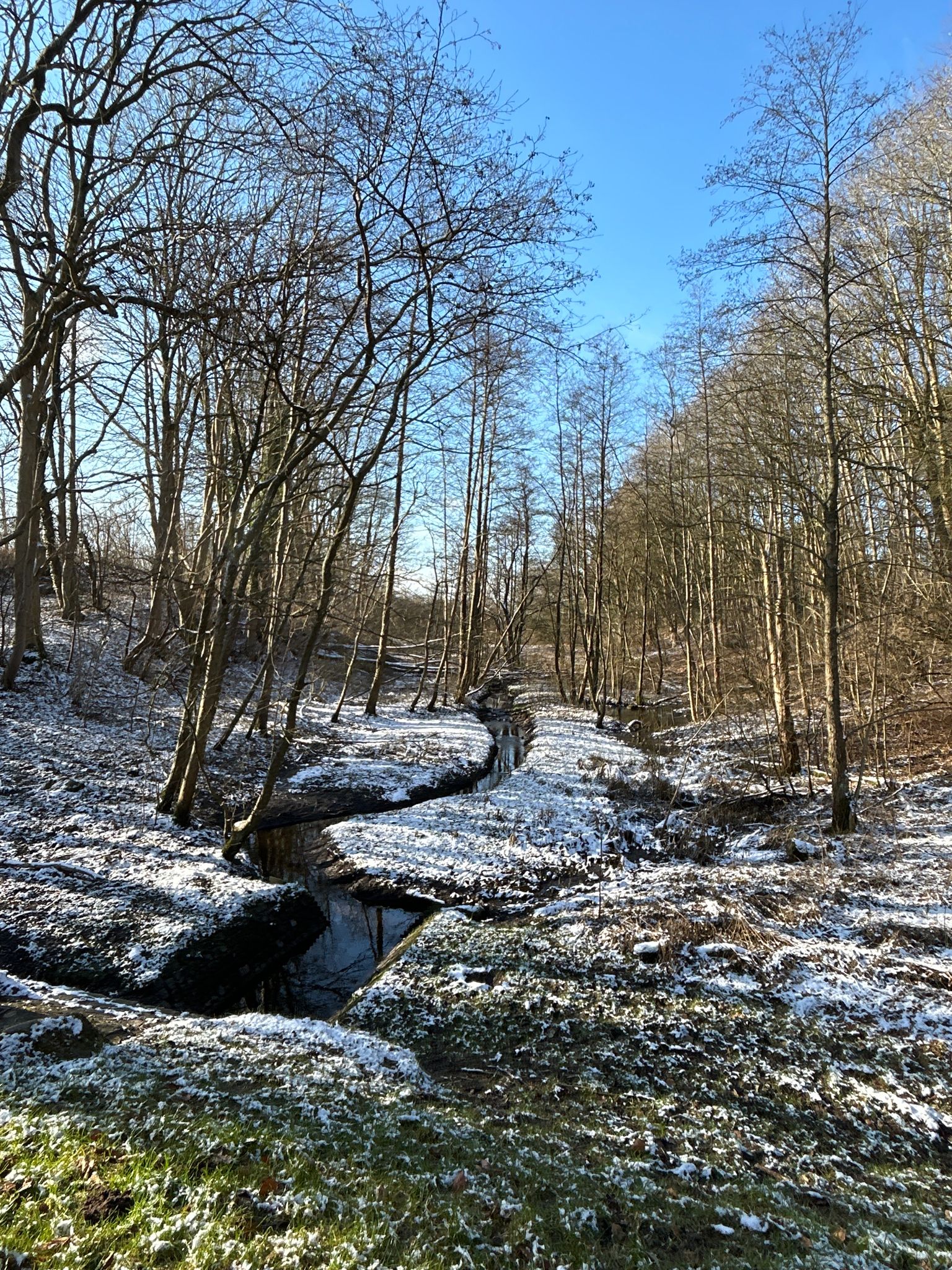 Das Marienautal