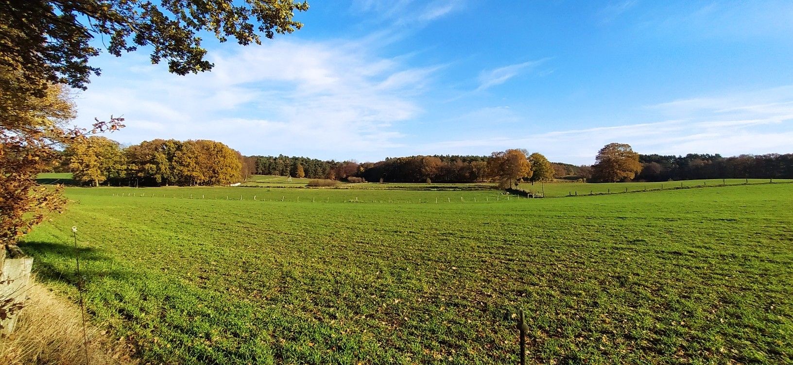 Schöne Aussichten am alten Frachtweg