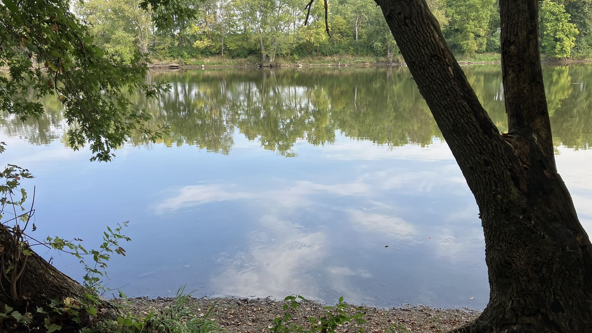 Serene lake reflecting trees and sky, framed by dark tree trunks and foliage. - Silver Springs State Park Loop