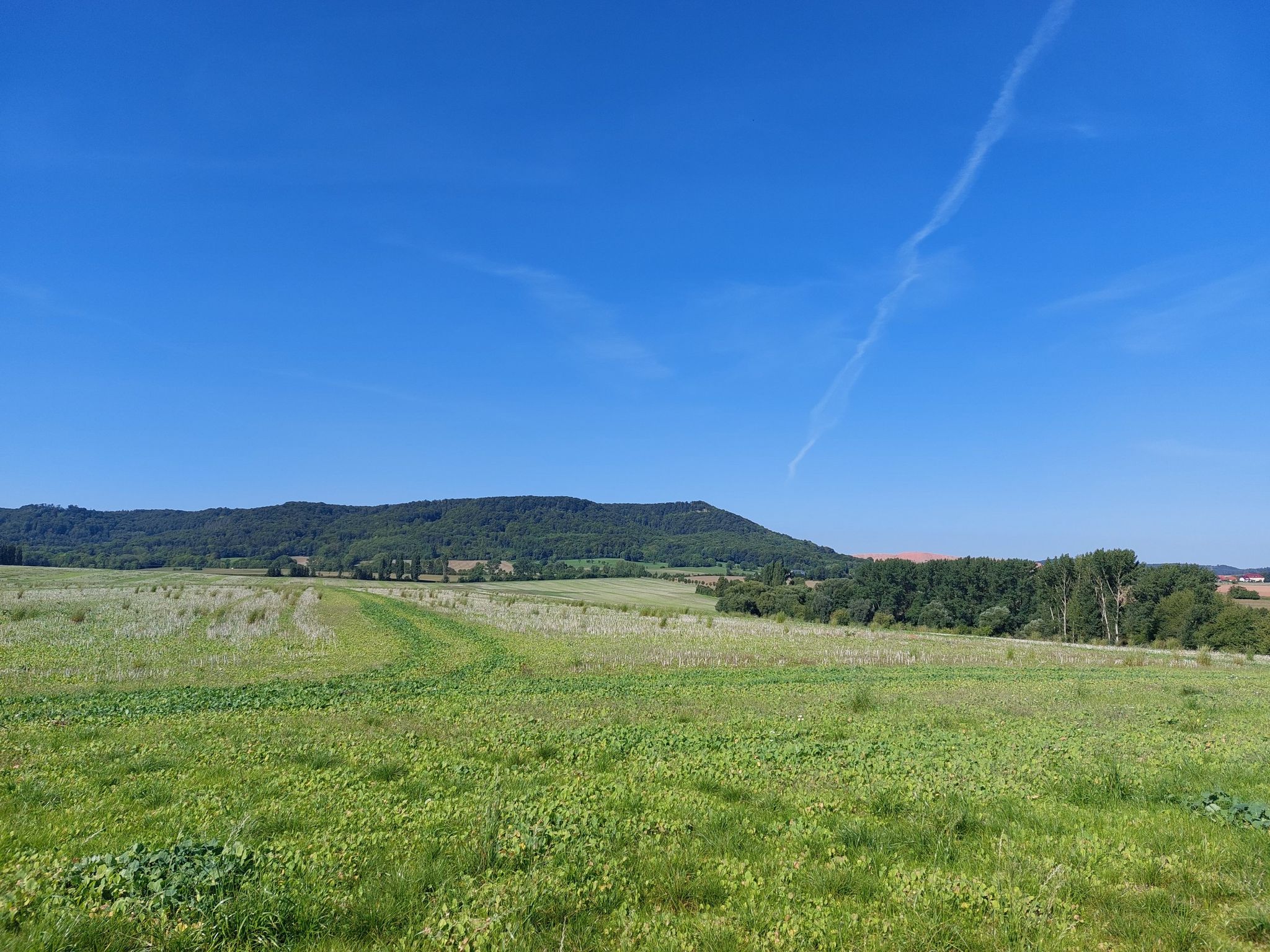 Blickrichtung Hauröder Klippe mit Kalihalde Bischofferode