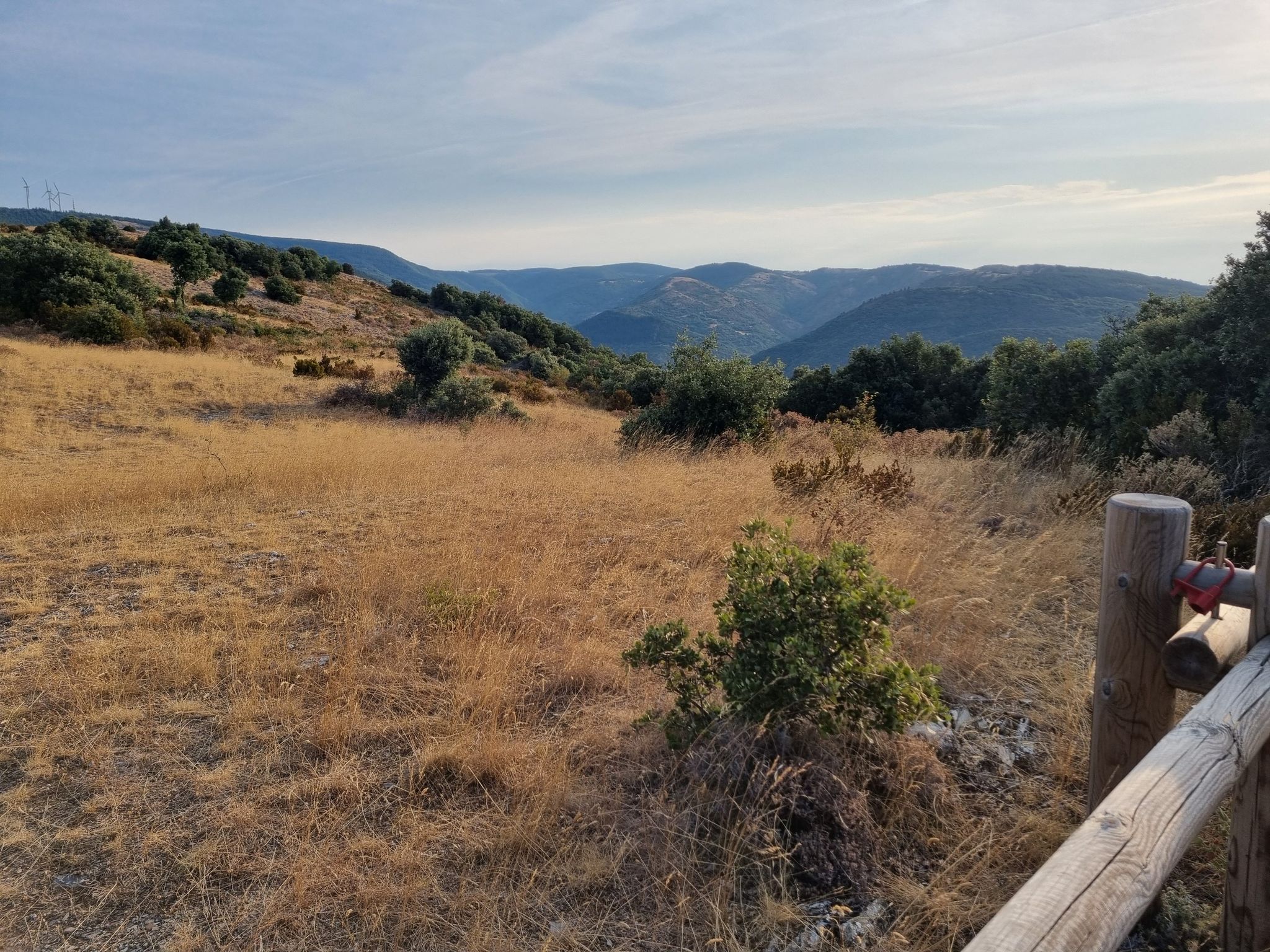 The view