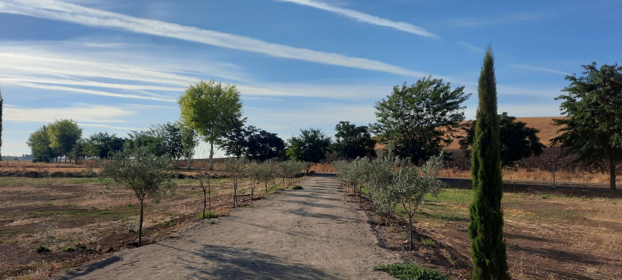 Ruta de la Batalla de Alarcos