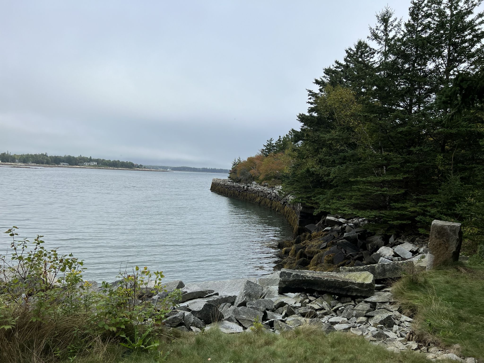 Overcast view of a rocky coastline with evergreen trees beside calm water. - Clark Island Preserve loop