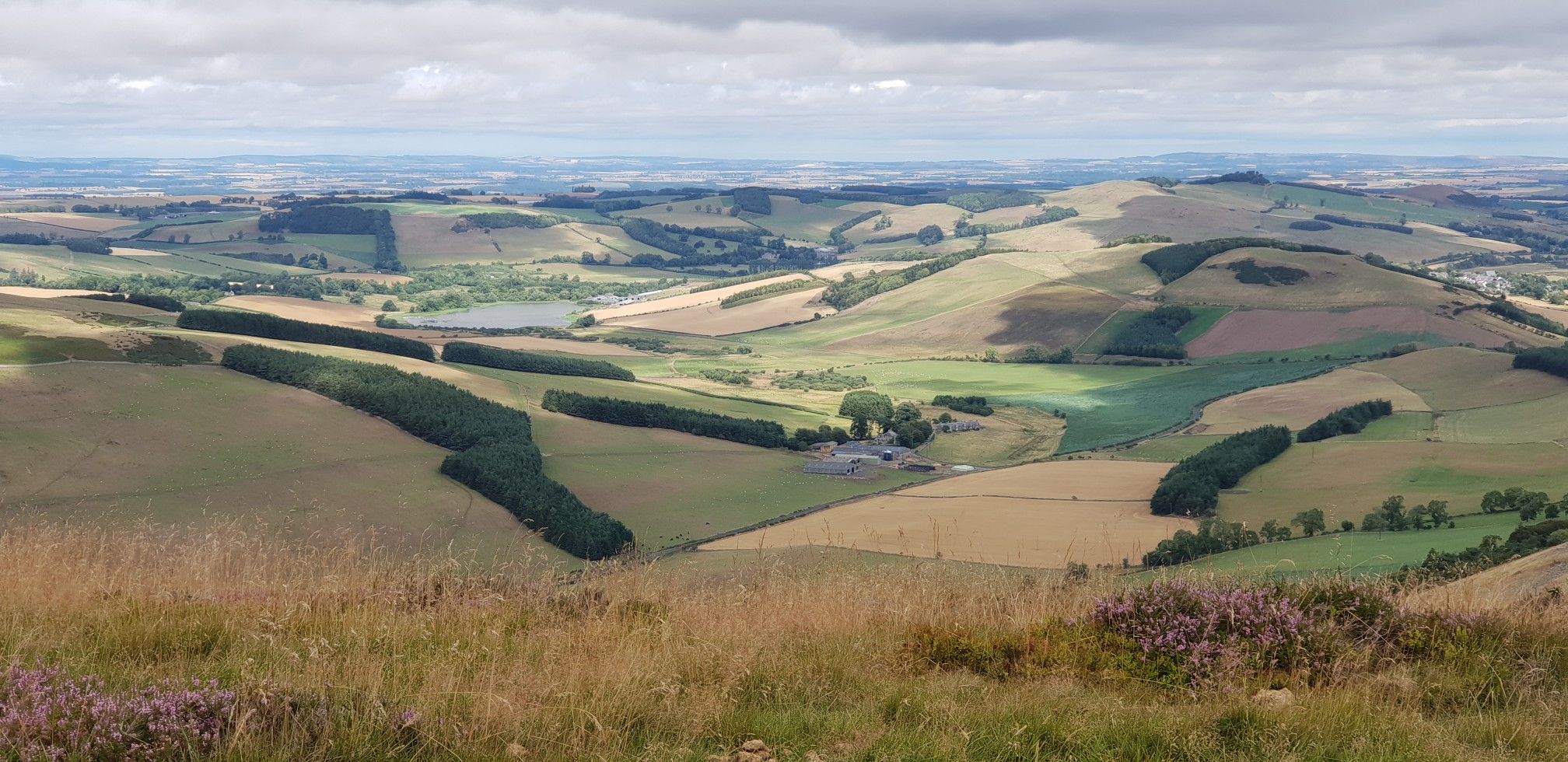 View east from the highest point, the summit of Wide-open hill
