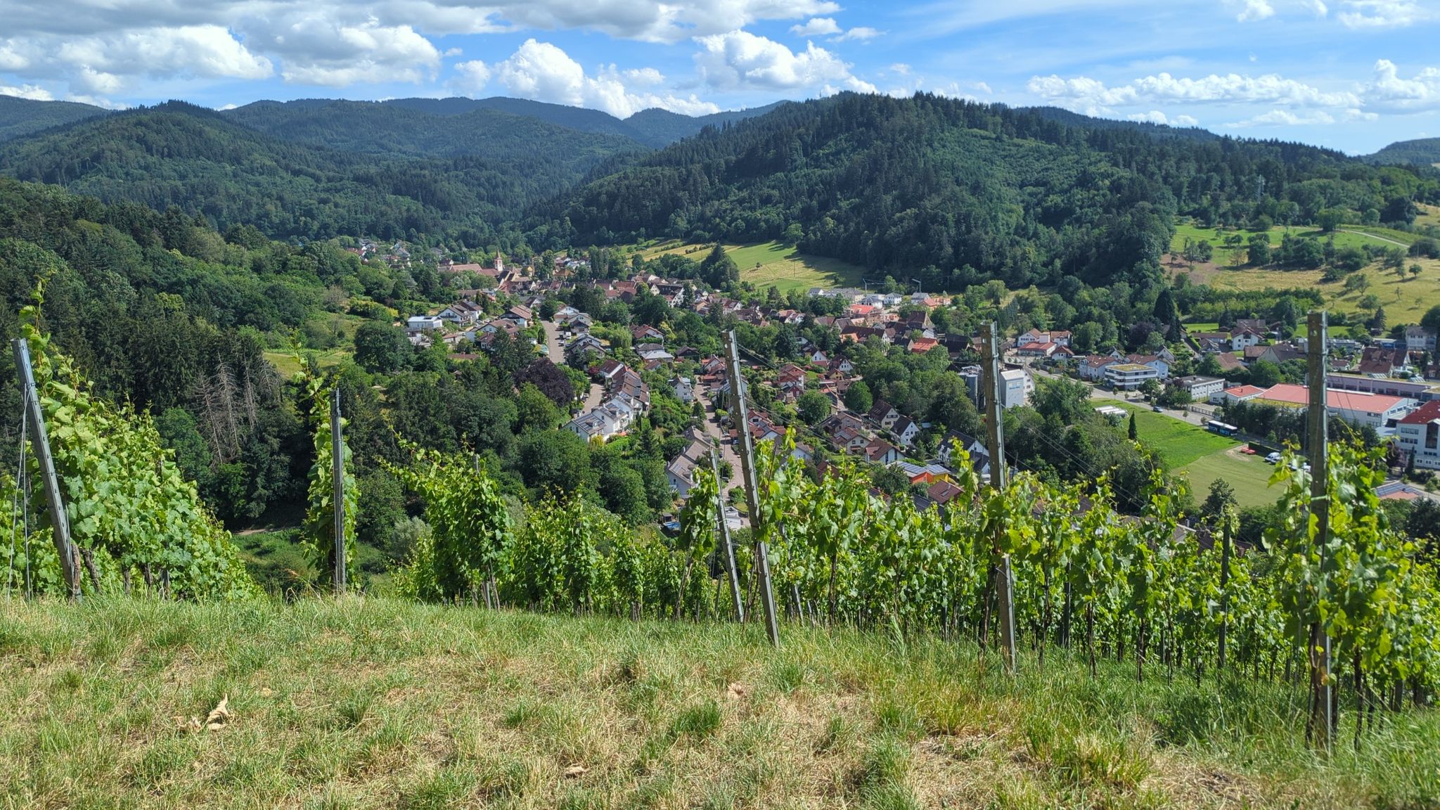 Sulzburg 