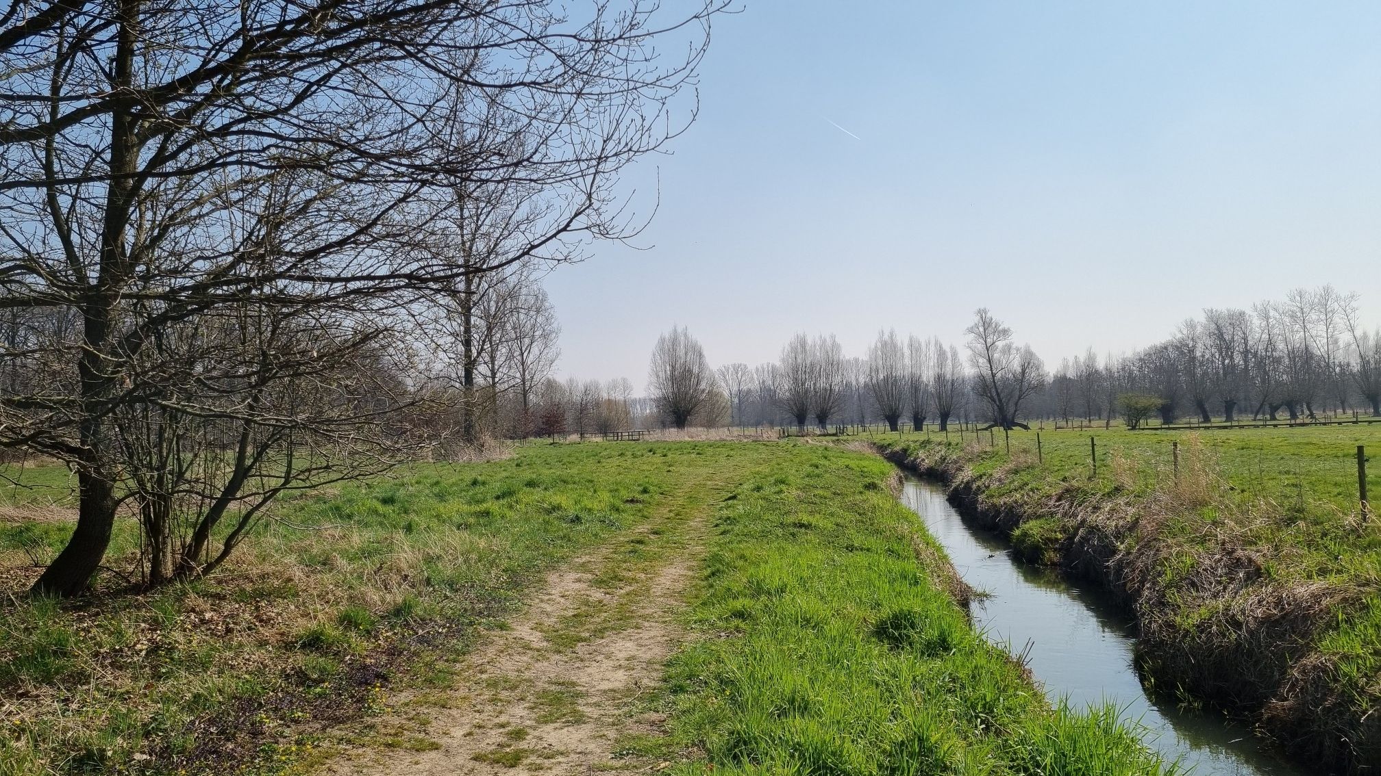 Nogmaals de Mombeek