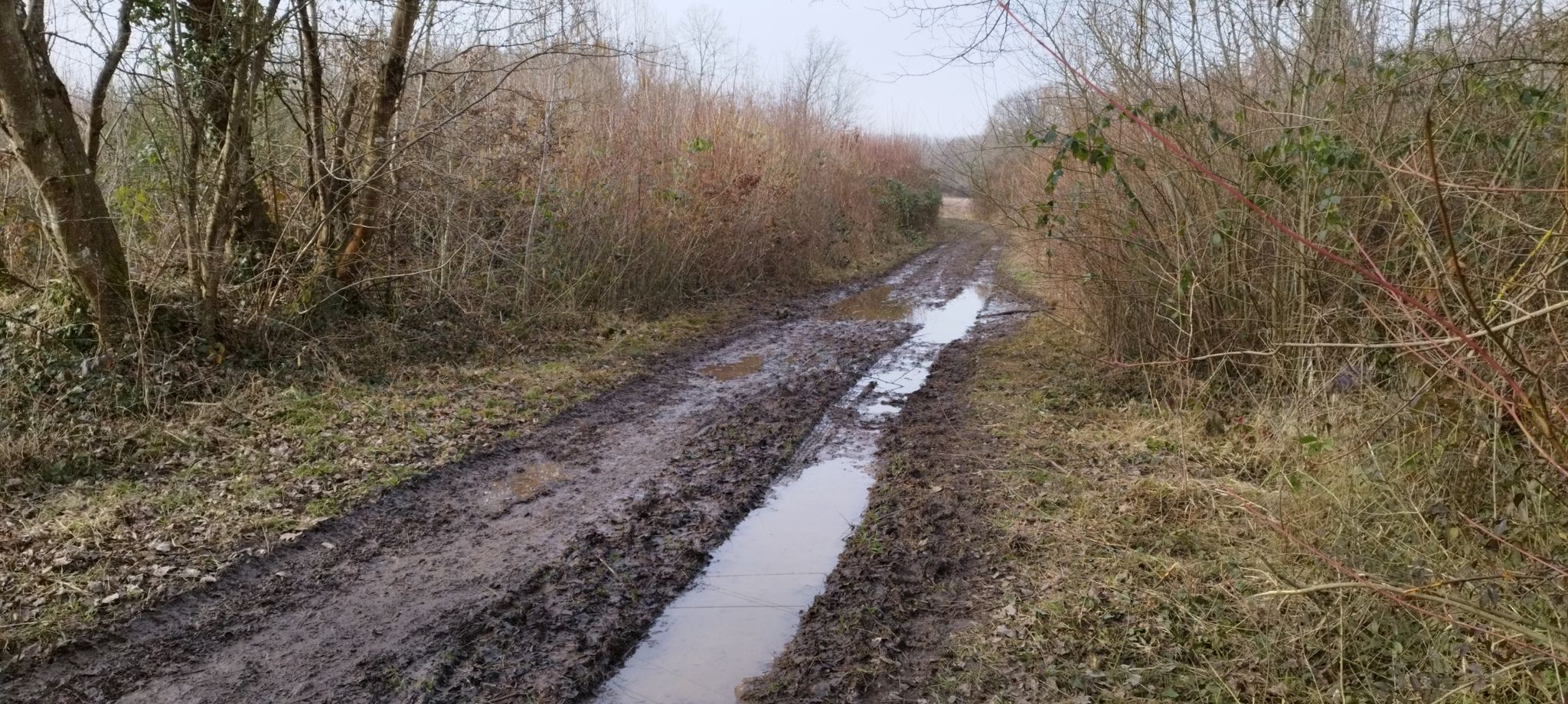 Chemins très boueux