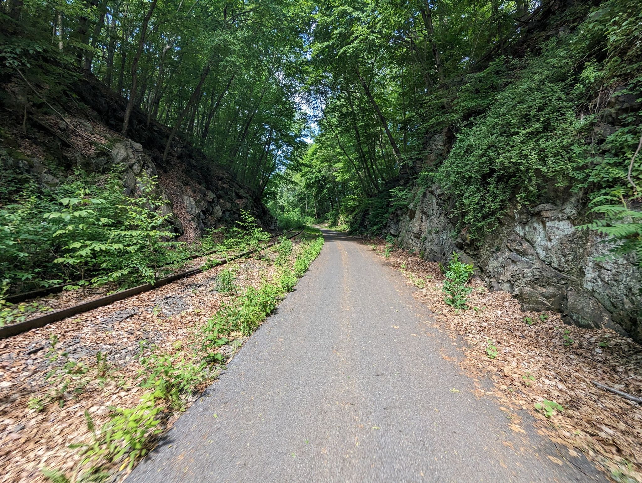 Paved path and railroad tracks through a forested rock cut on a sunny day. - Gas station to refill water loop from Beekman Library