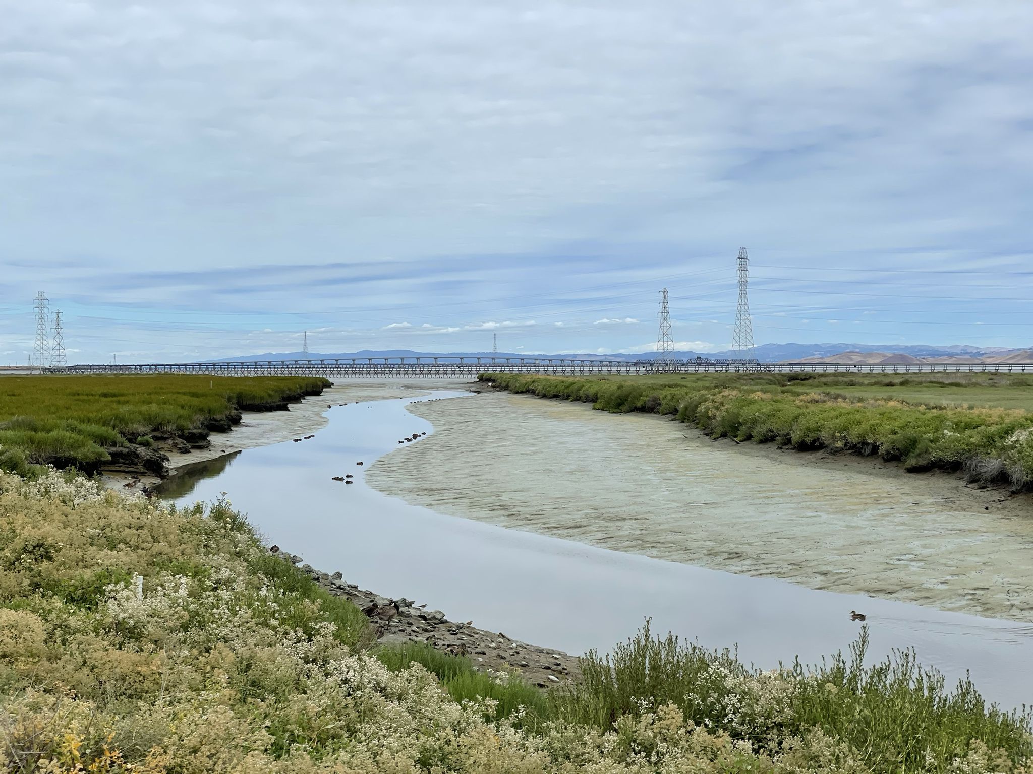 Overcast view of a winding river through marshland with distant power lines. - Stevens Creek bridge – Bliss In The Moment loop from Sunnyvale