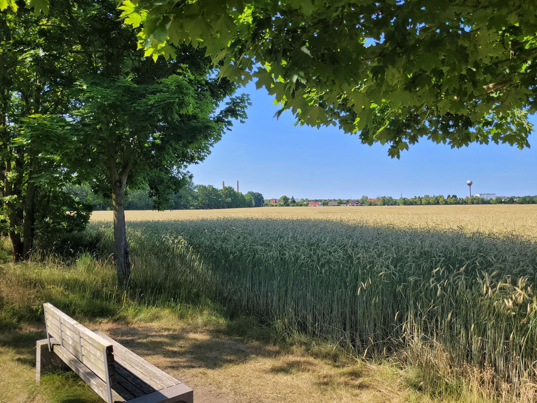 Schwepnitz