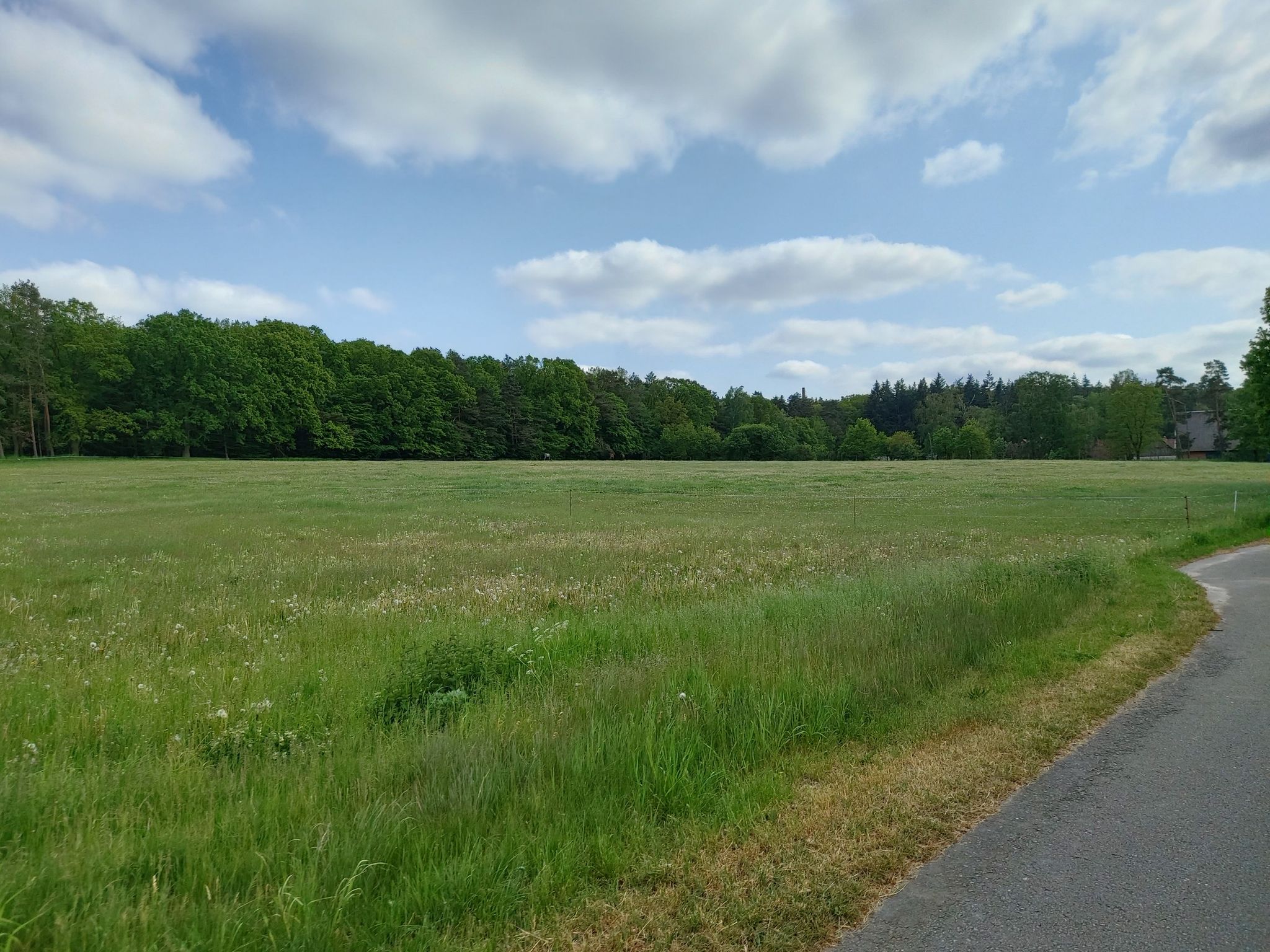 Wiesen vor Neumühle