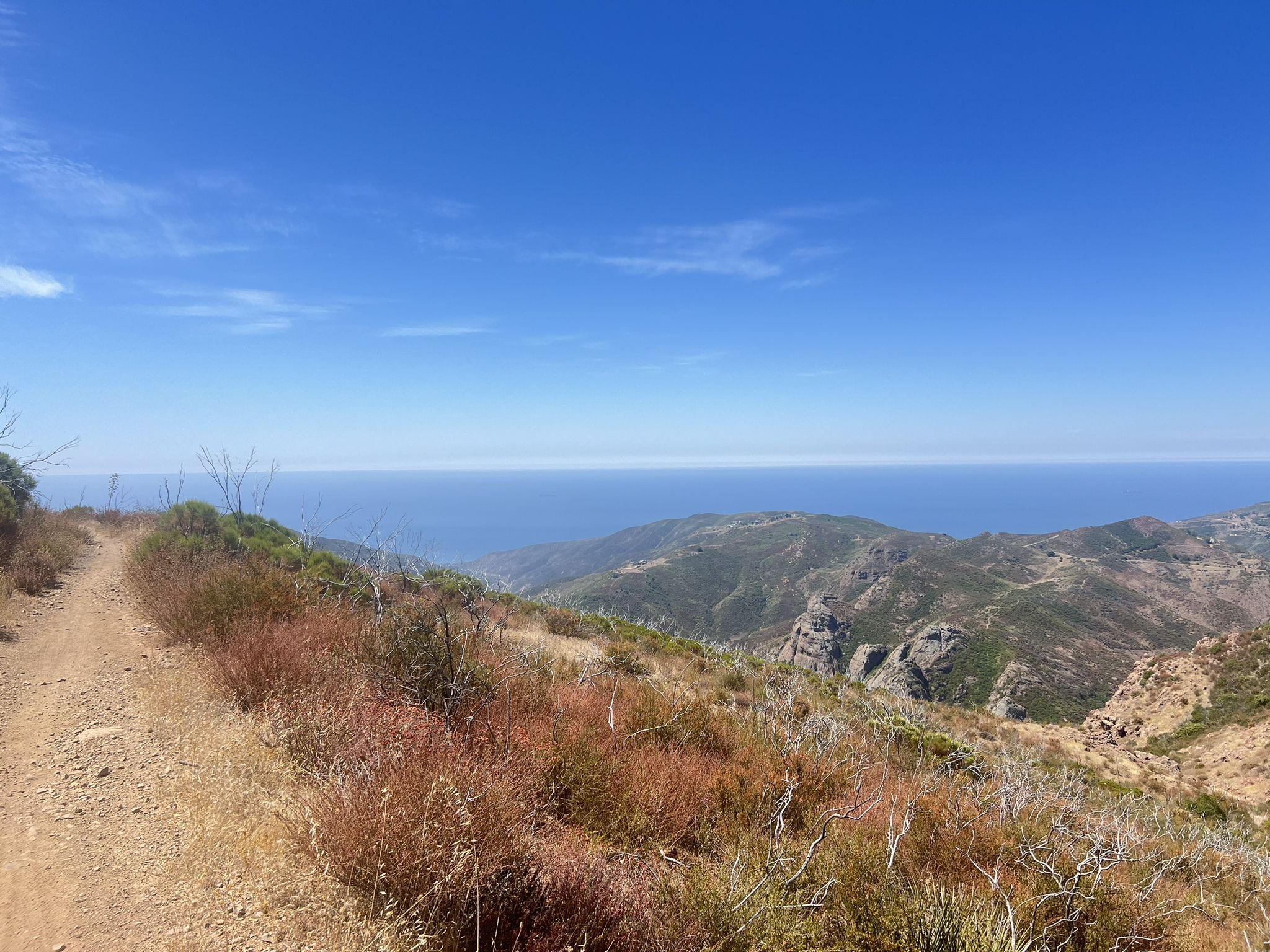 Dirt trail overlooking green mountains and a distant ocean under clear blue sky. - Backbone Trail: Newton Canyon to Triunfo Pass