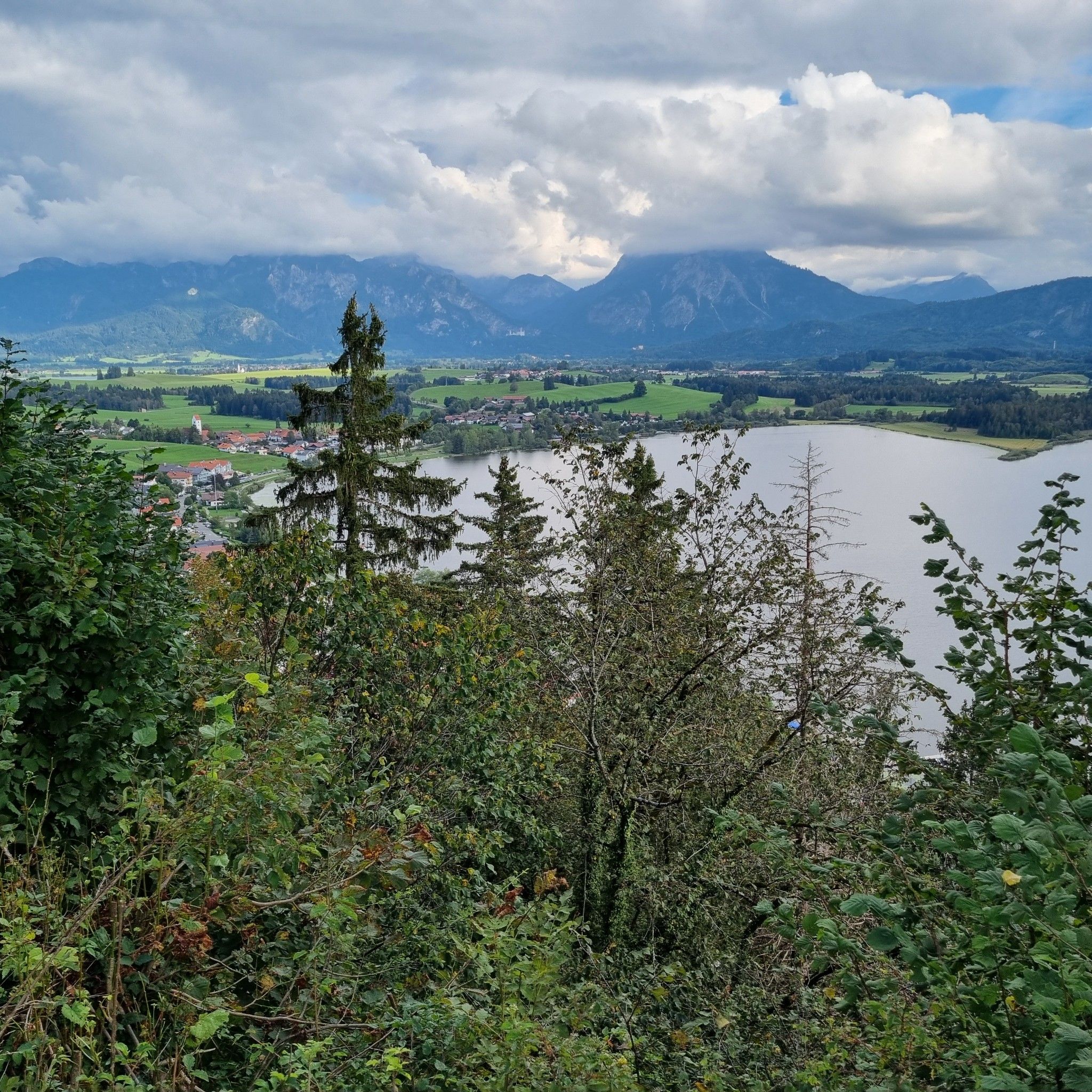 Hopfen mit See, Füssen und Forggensee