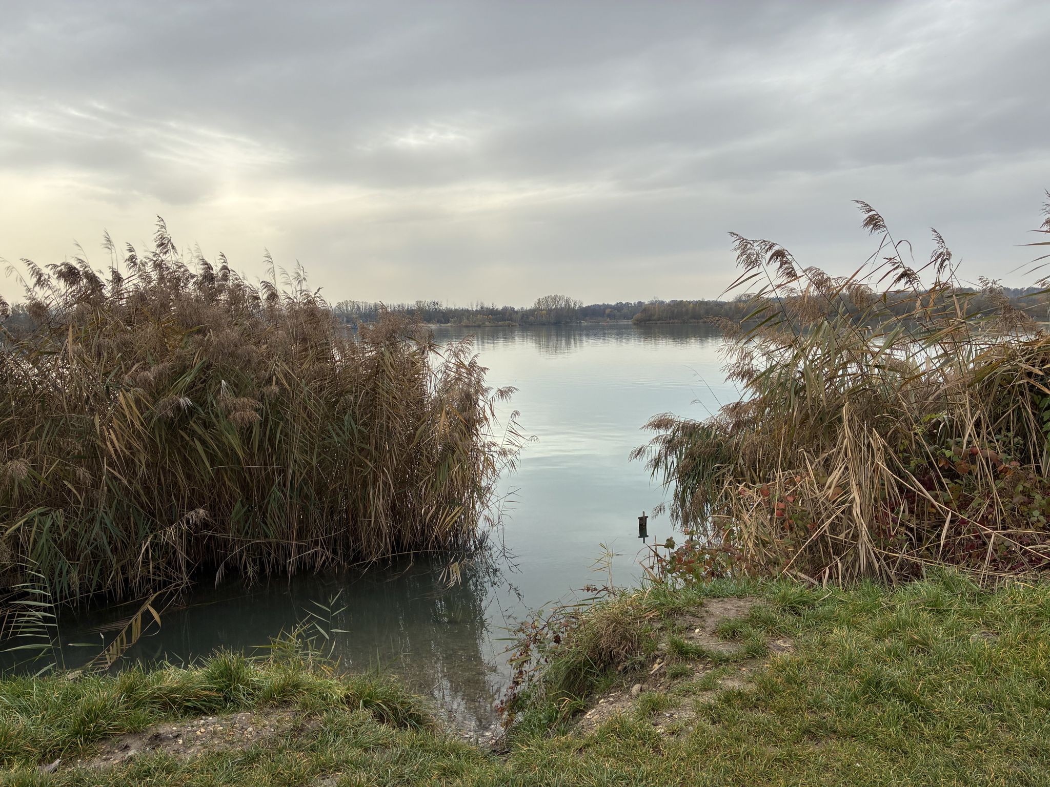Bassin des Mouettes