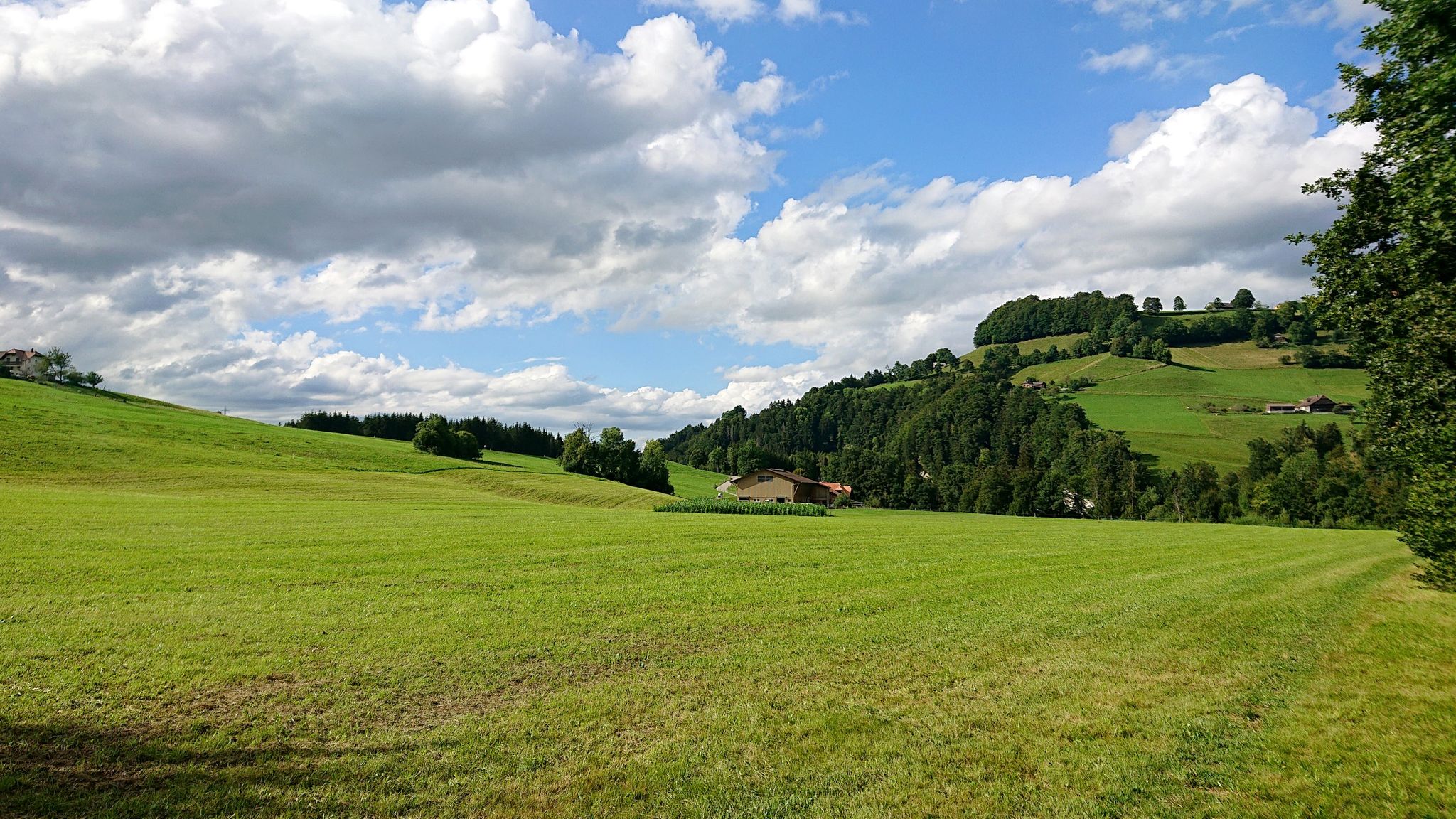 Aufstieg am Waldrand nach Zumholz (statt auf der Strasse)