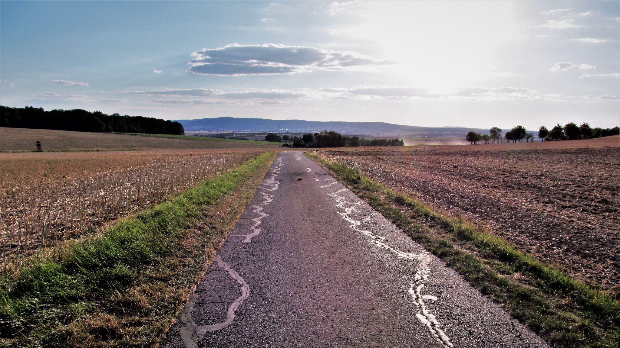 Taunus im Blick