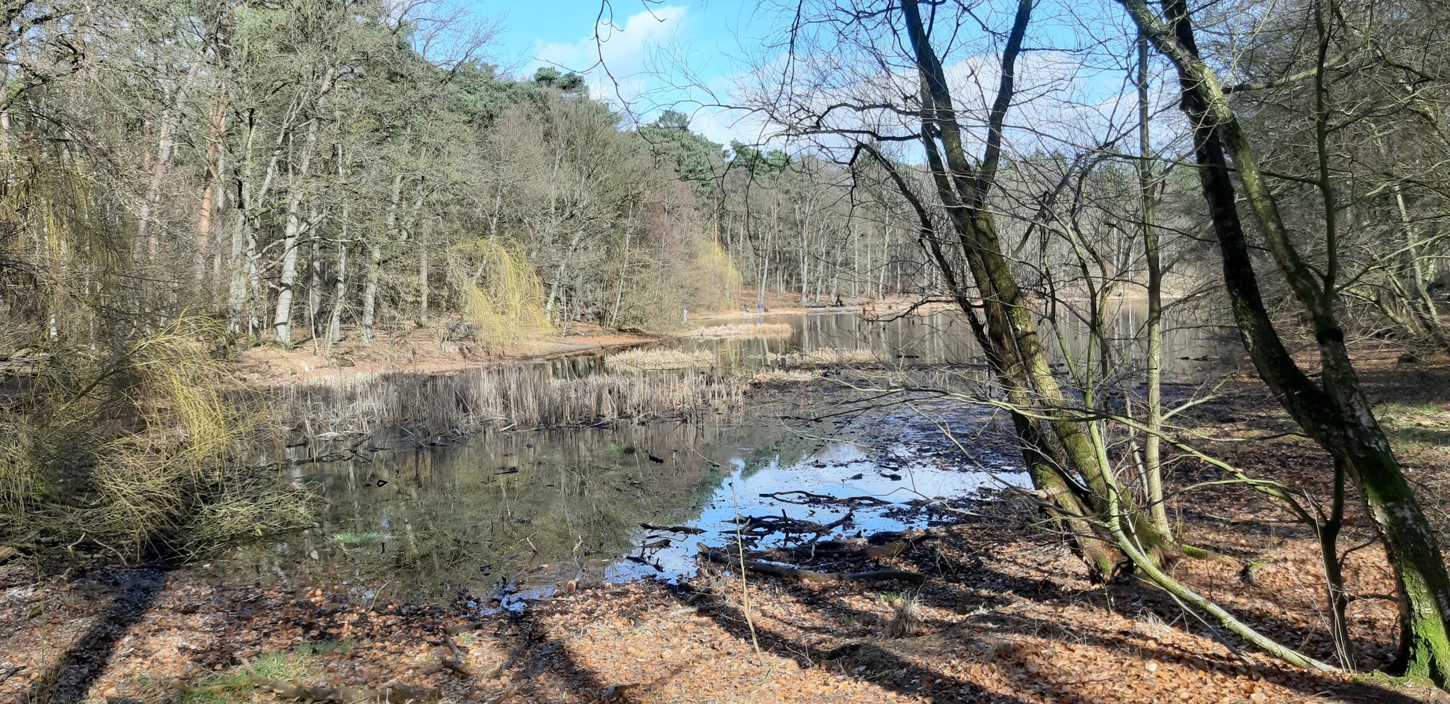Fischteich