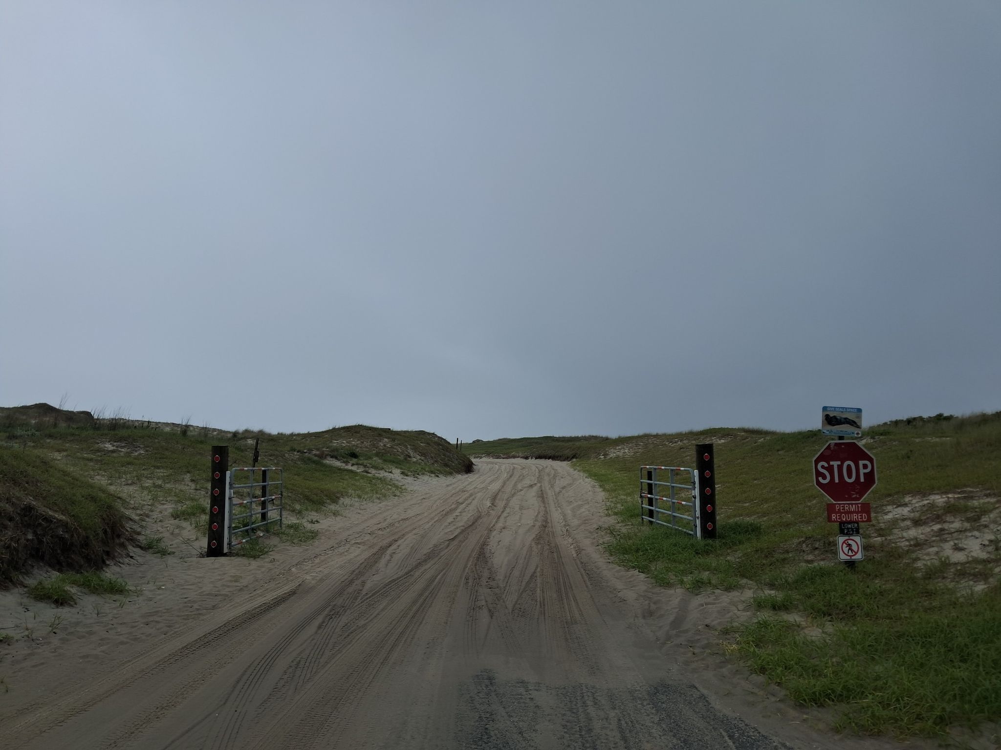 A sandy track leads through an open gate towards grassy dunes under an overcast sky. - Island Beach State Park Bike Route
