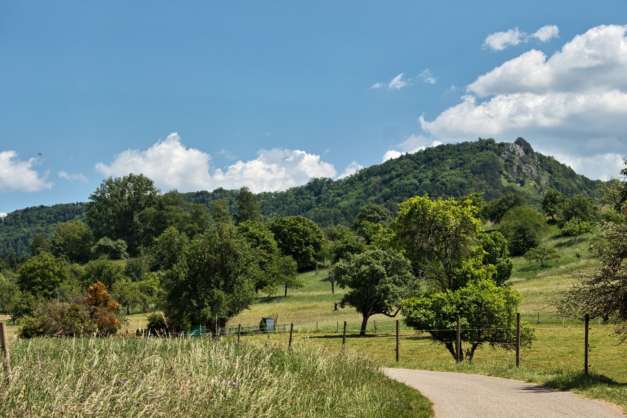 Böllat