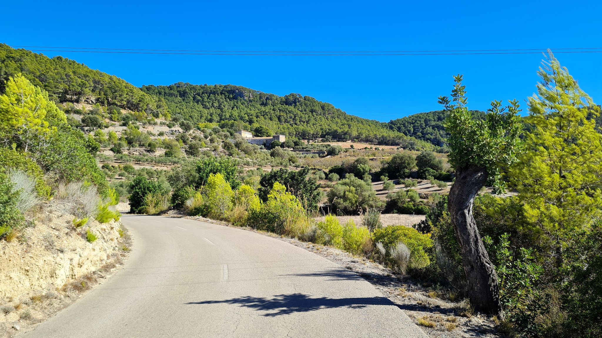wieder auf der Ma 1016 nach Calvià