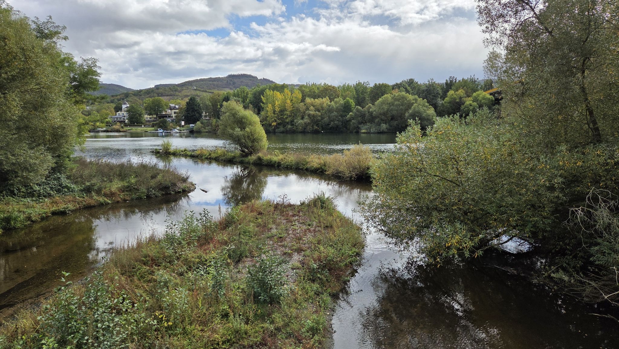 Mündung Lieser in die Mosel