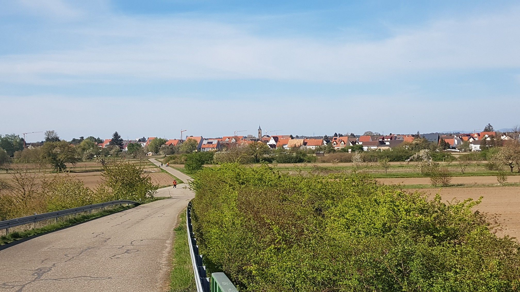 Ziel Kirrlach 