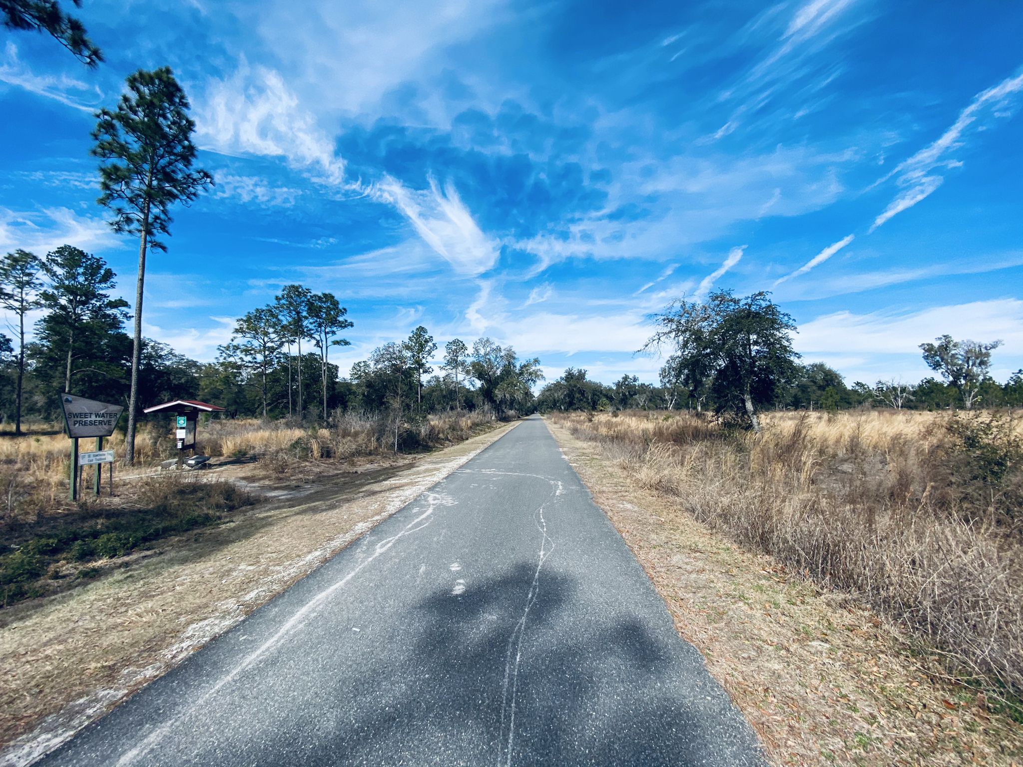 A paved road stretches through a sunny, open landscape under a blue sky. - Sweetwater Preserve – Depot Park loop from Florida Museum of Natural History