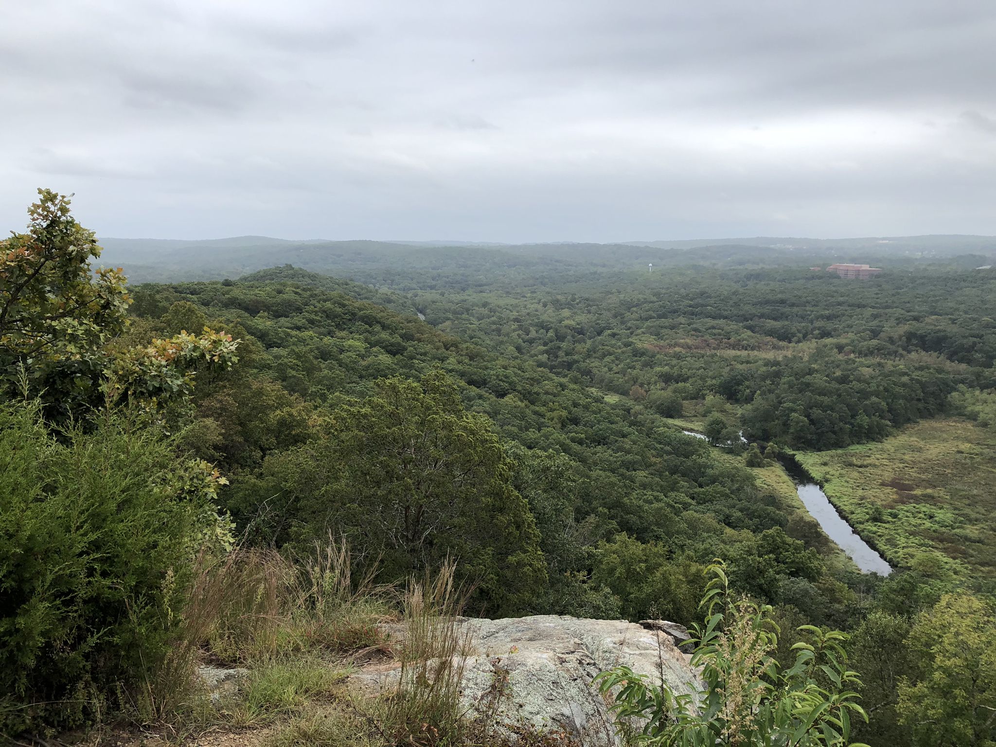 Overlook of a vast green forest and winding river under a cloudy sky. - Highlands and Pebble Trail Loop
