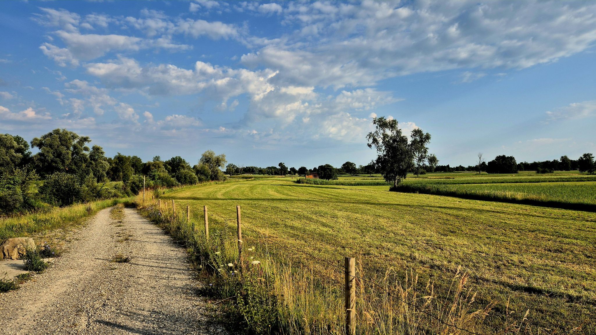 Natur im Rheintal