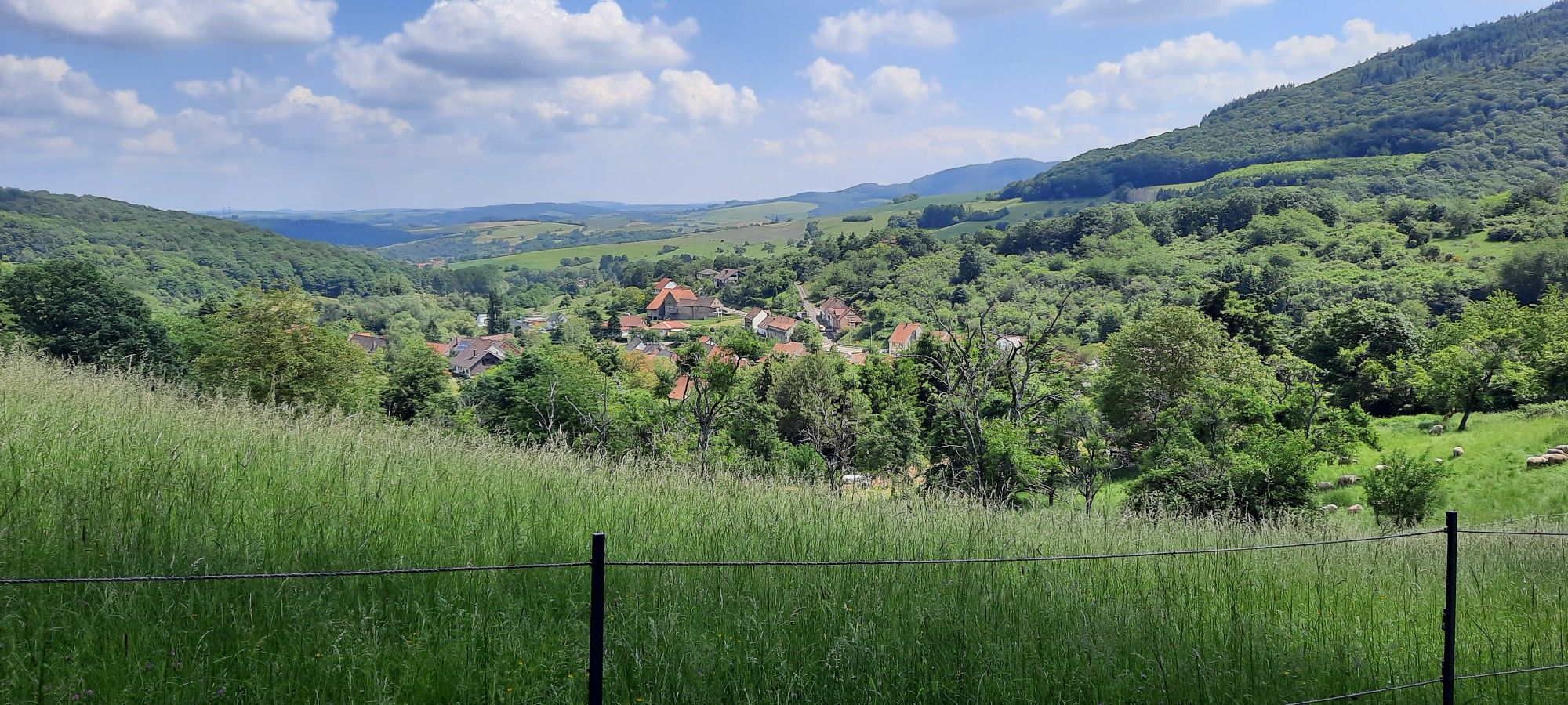 Welchweiler