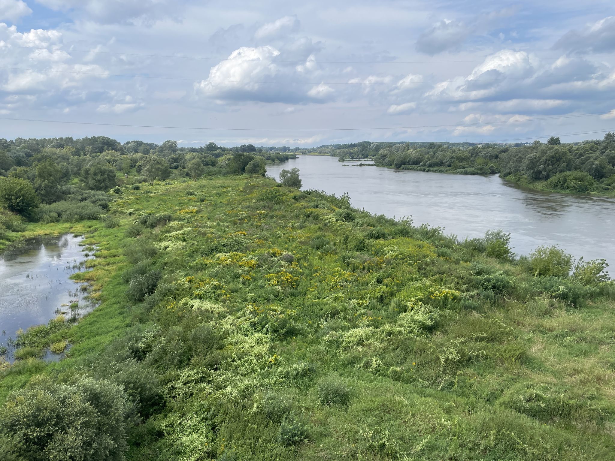 Auenlandschaft und die Wisla