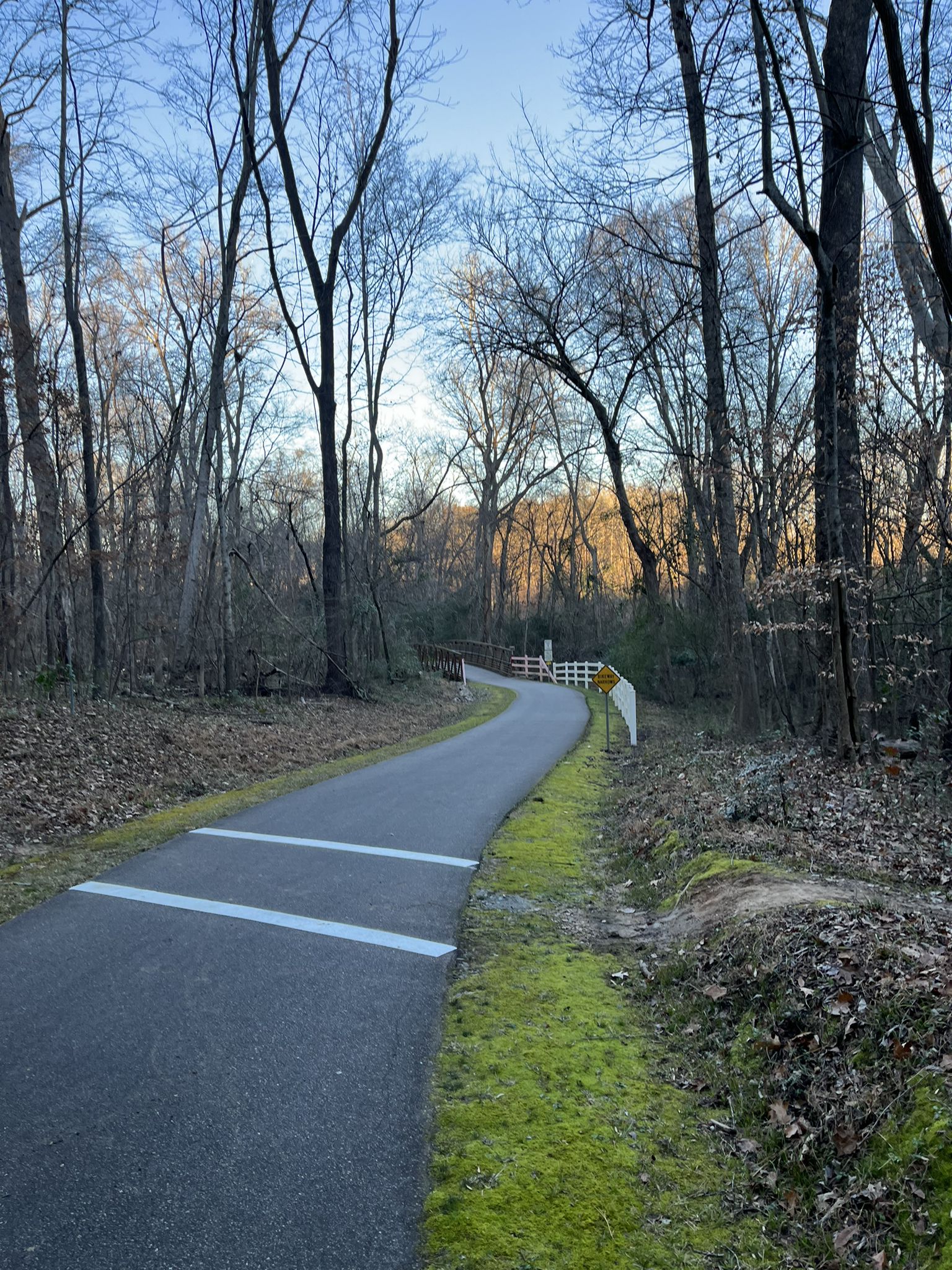 Paved path winding through a forest with bare trees, leading to a bridge. - Cape Fear River Trail
